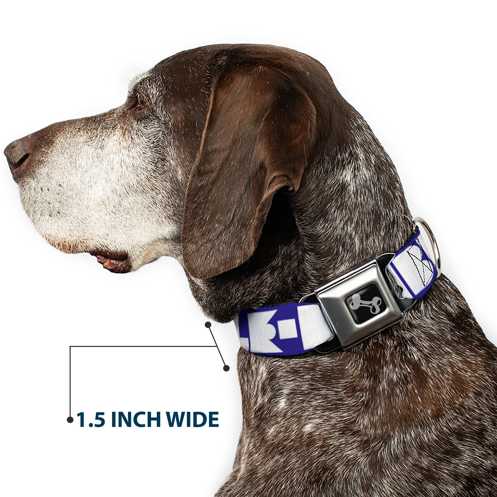 Seatbelt Dog Collar – Shapes Blue and White