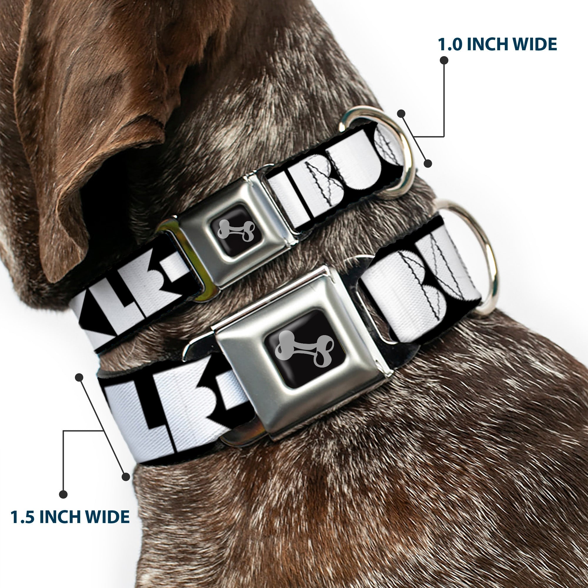 Seatbelt Dog Collar – Shapes Black and White
