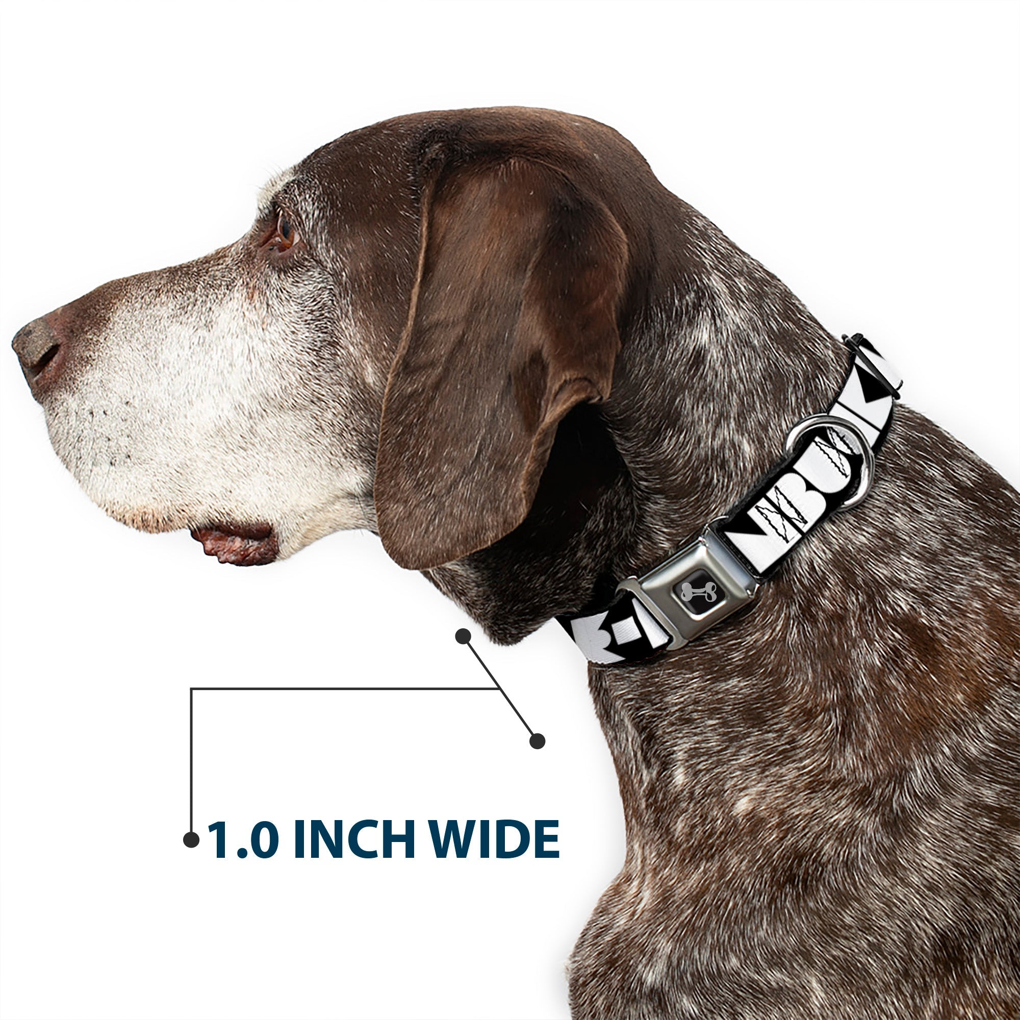 Seatbelt Dog Collar – Shapes Black and White