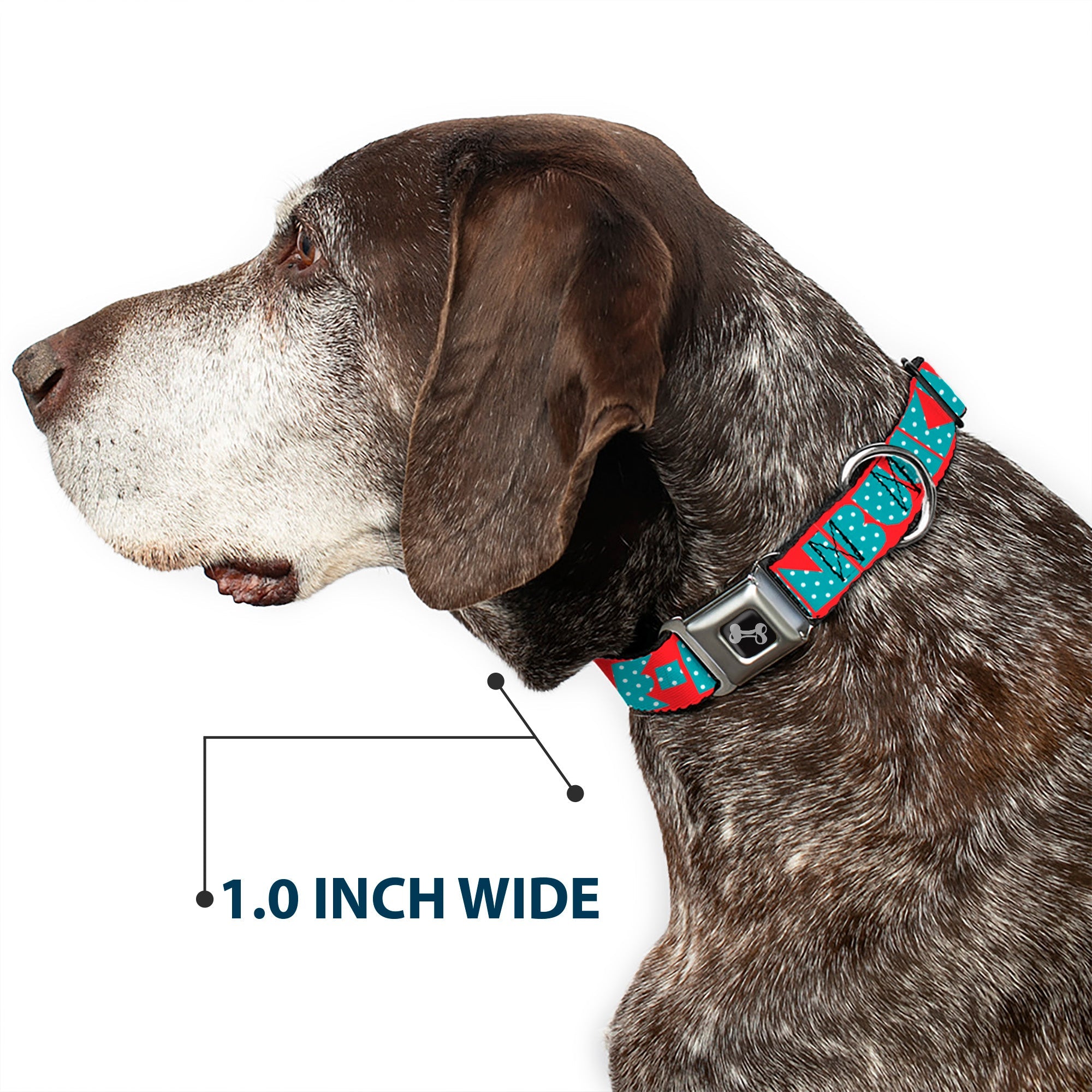 Seatbelt Dog Collar – Shapes Red and Turquoise