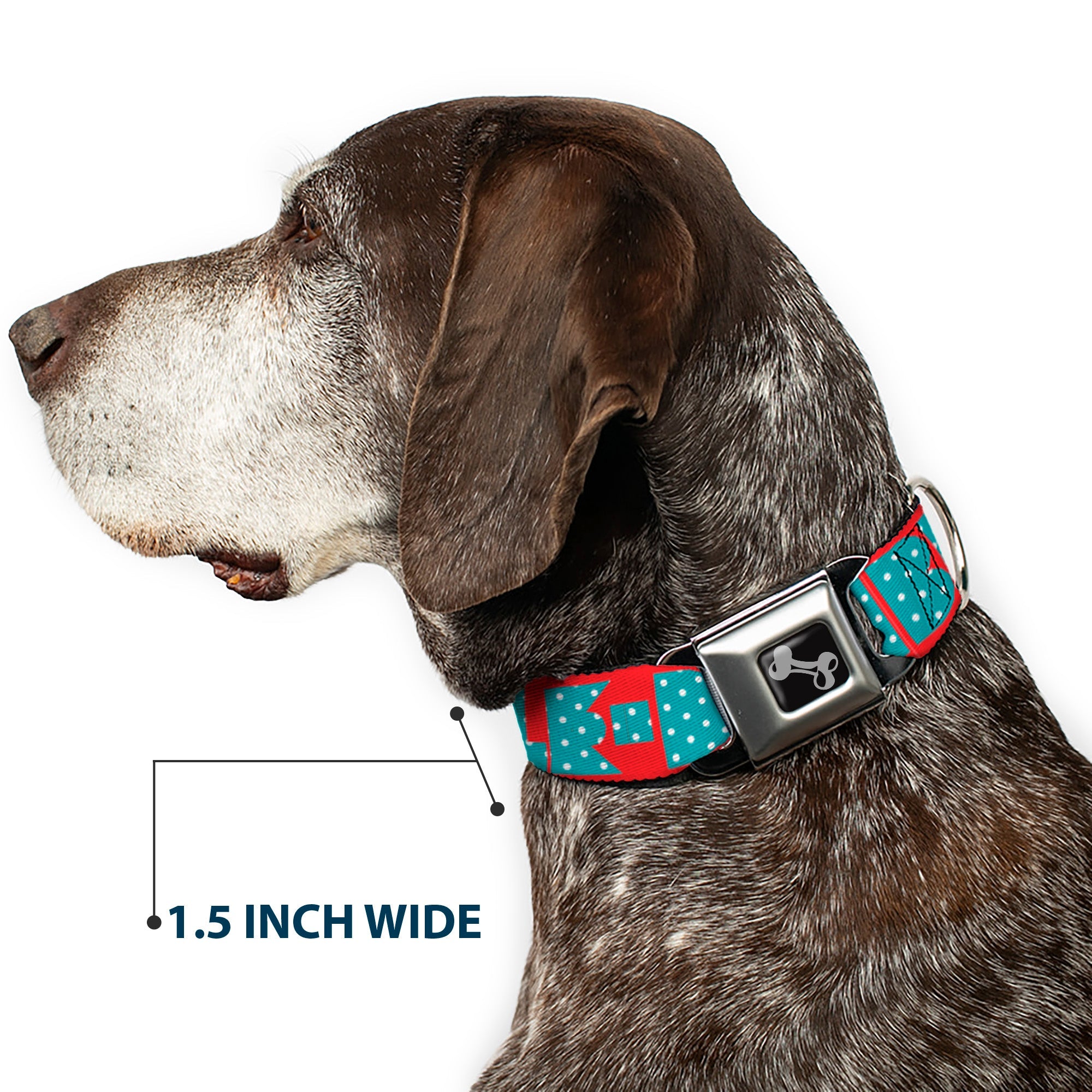 Seatbelt Dog Collar – Shapes Red and Turquoise
