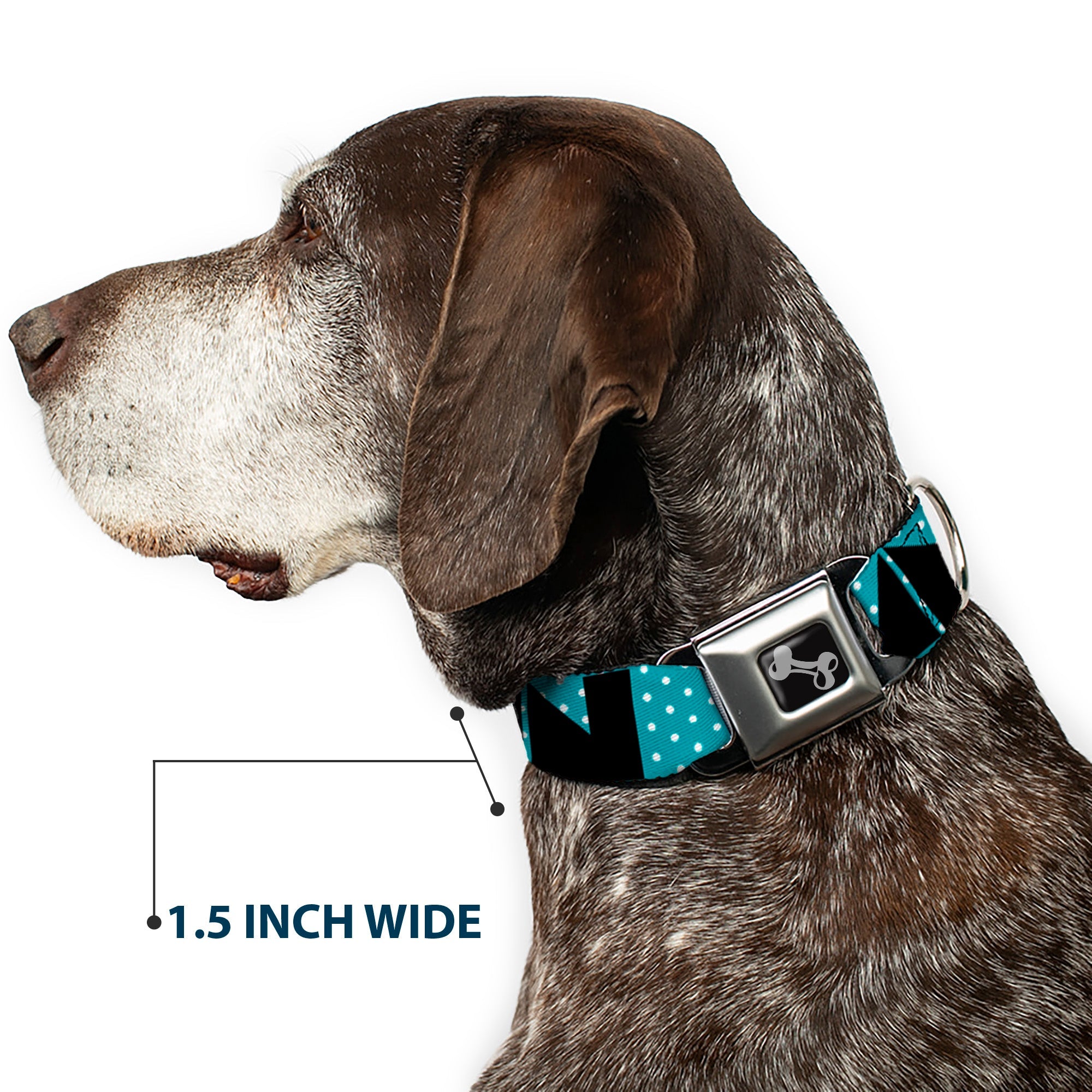 Seatbelt Dog Collar – Shapes Dot Turquoise