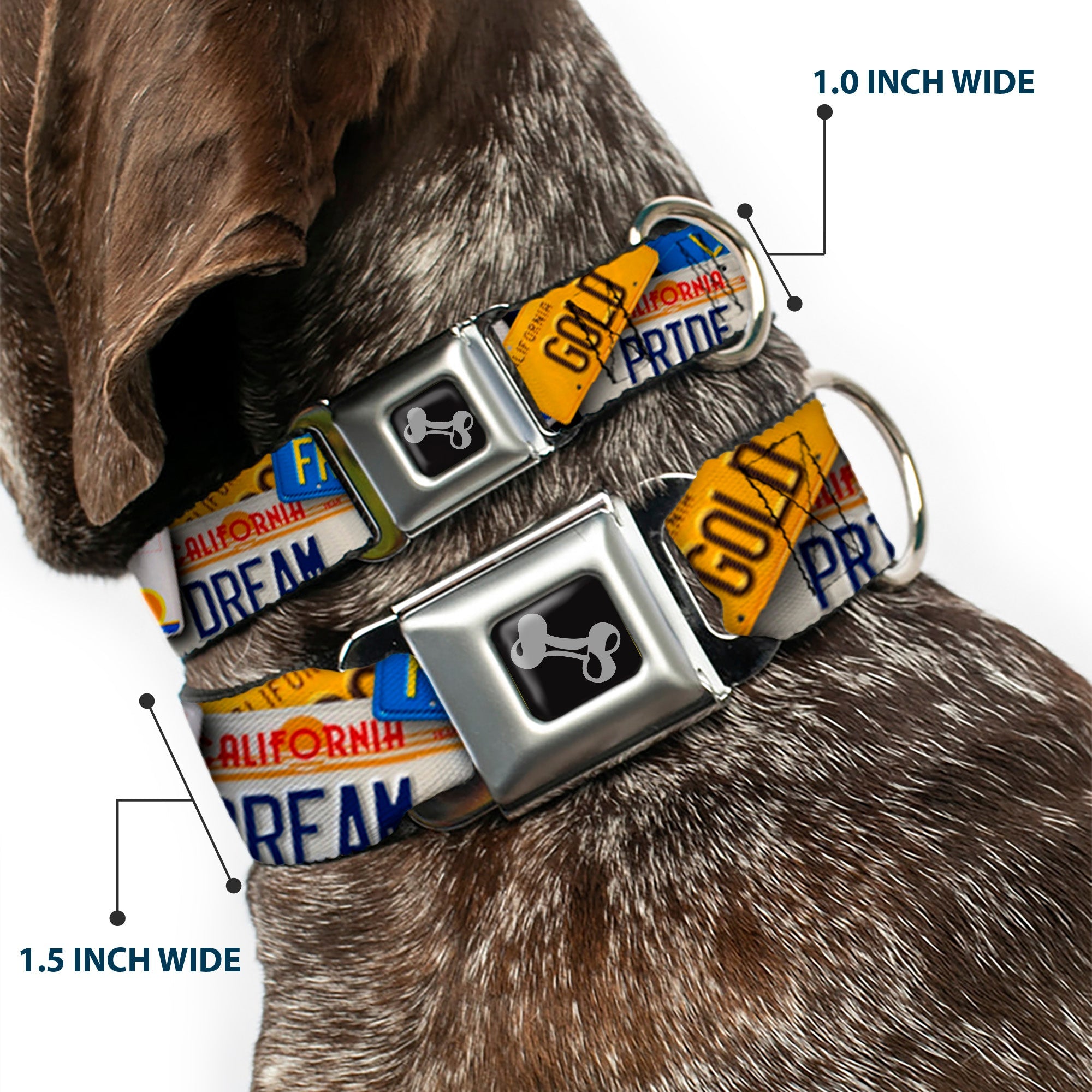 Seatbelt Dog Collar – Cali License Plates