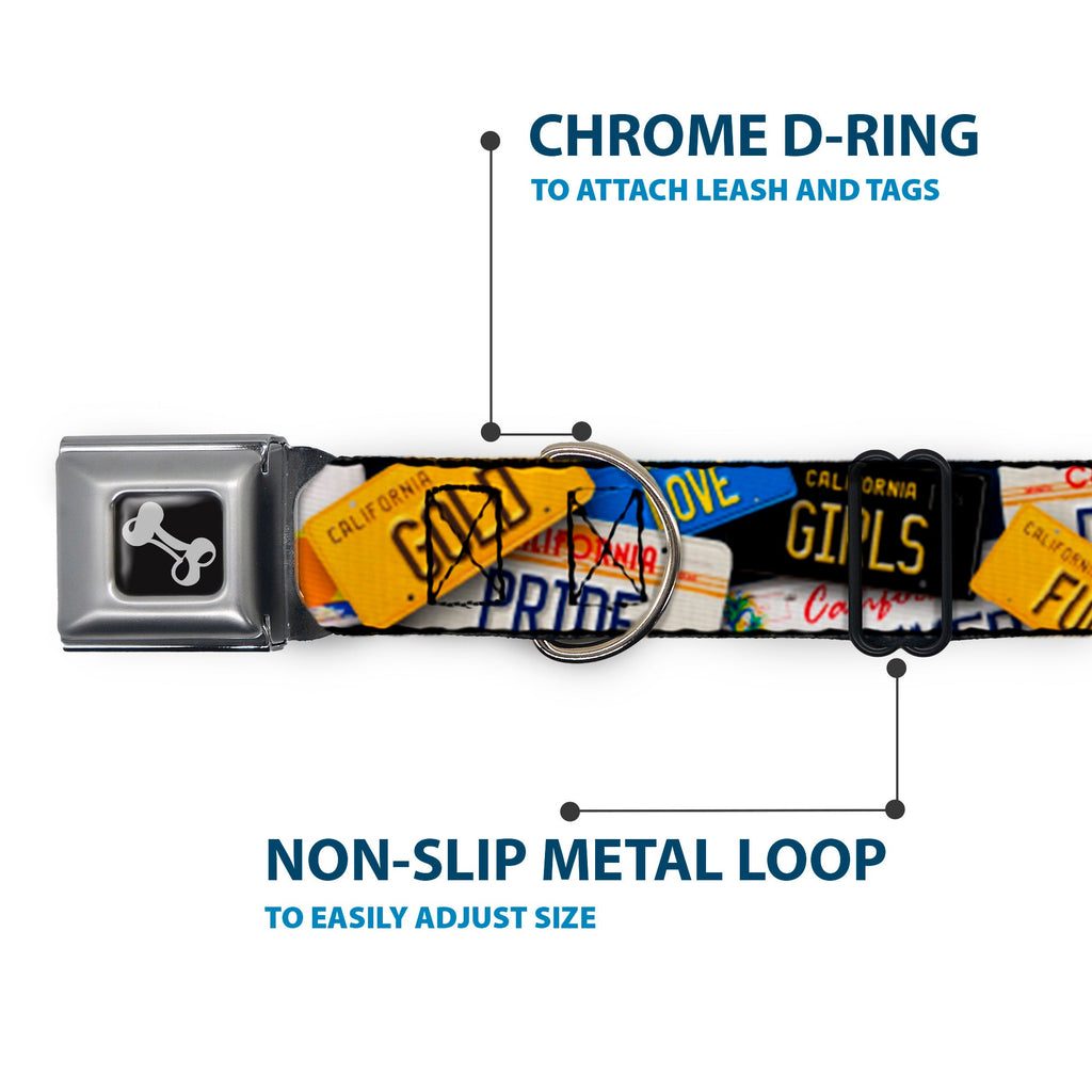Seatbelt Dog Collar – Cali License Plates