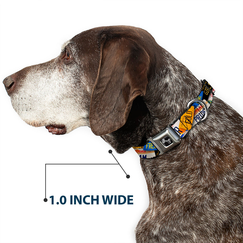 Seatbelt Dog Collar – Cali License Plates
