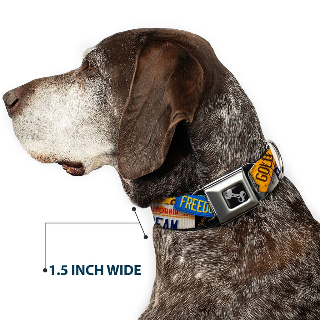 Seatbelt Dog Collar – Cali License Plates