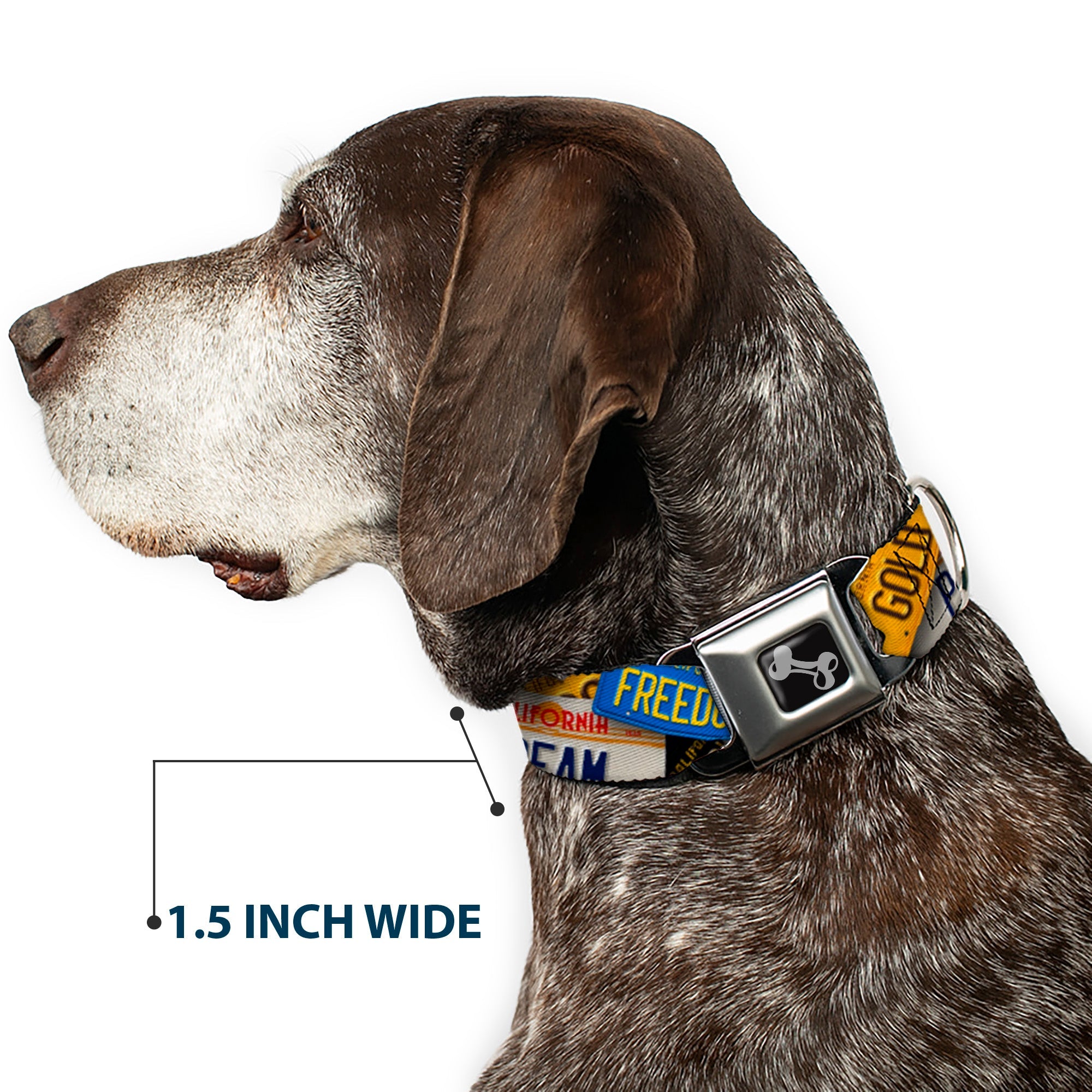 Seatbelt Dog Collar – Cali License Plates