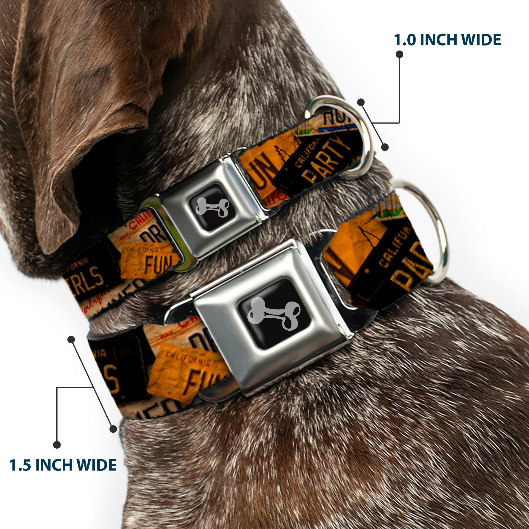 Seatbelt Dog Collar – Cali License Plates Vintage