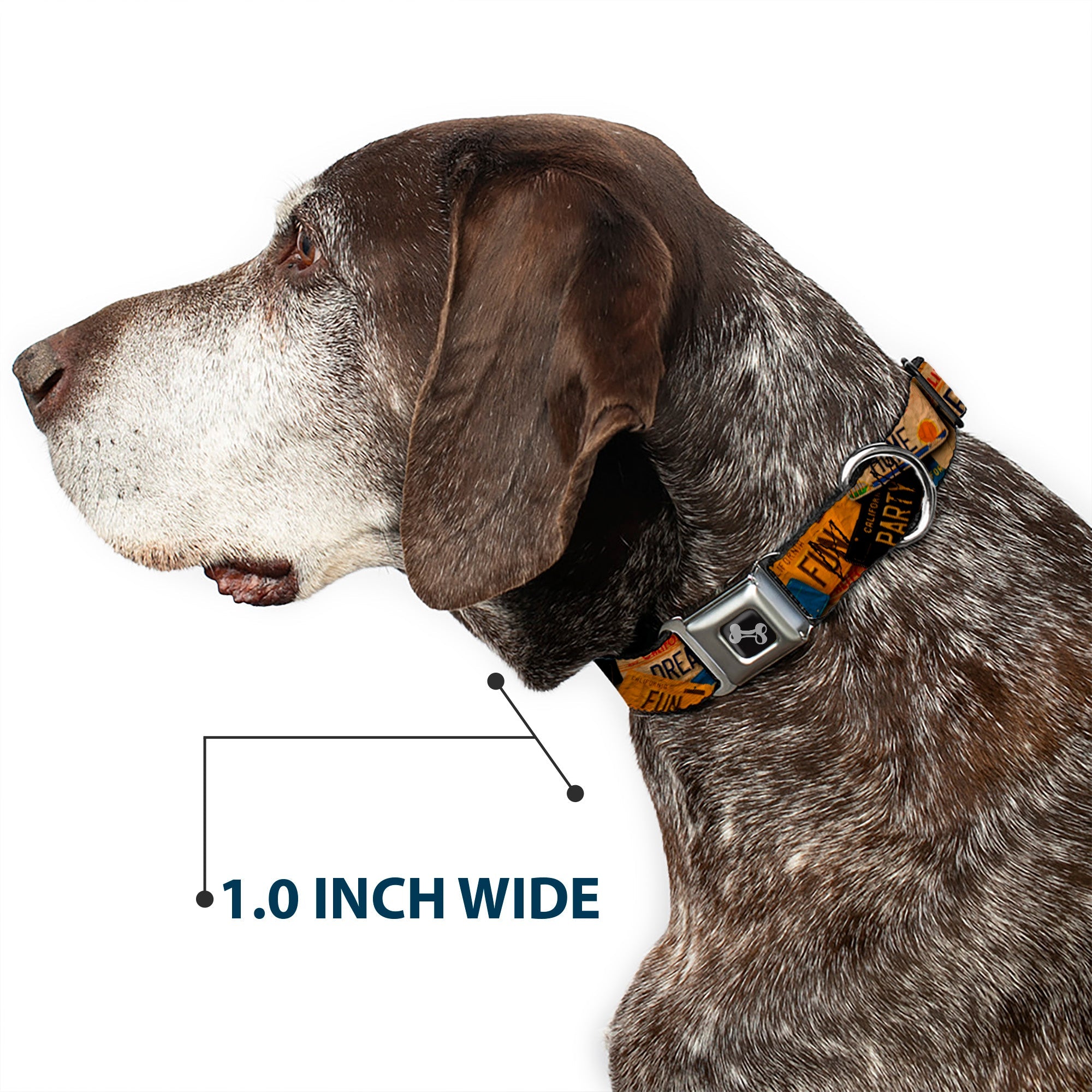 Seatbelt Dog Collar – Cali License Plates Vintage