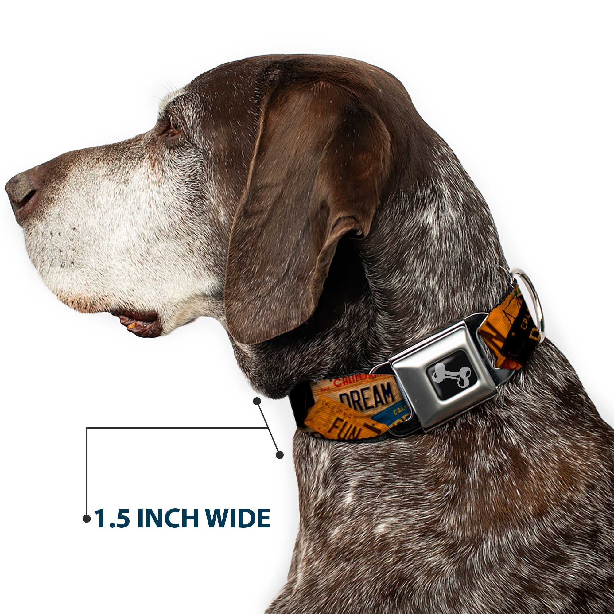 Seatbelt Dog Collar – Cali License Plates Vintage