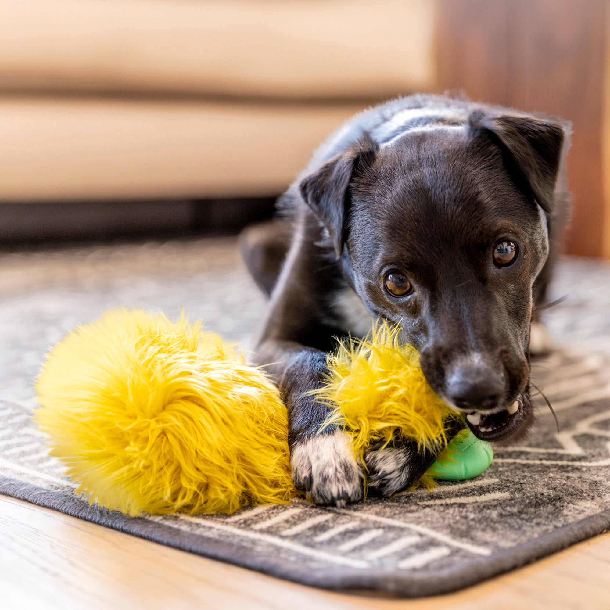 Astrid Dog Toy