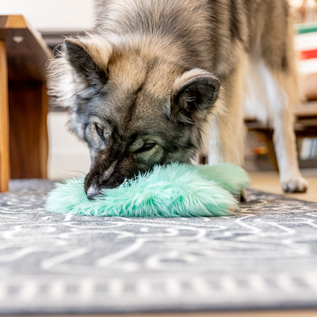 Bjorn Dog Toy