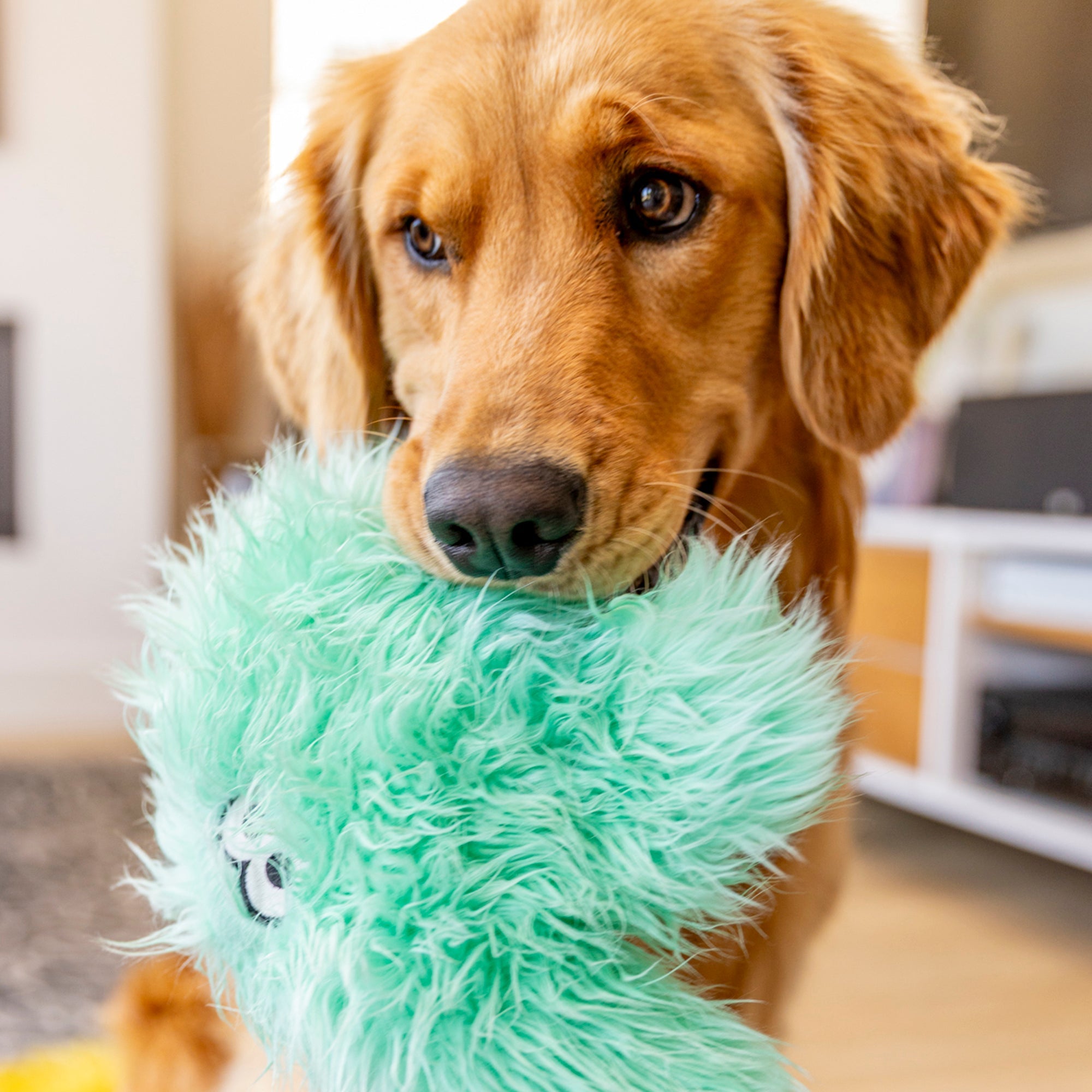 Helga Dog Toy