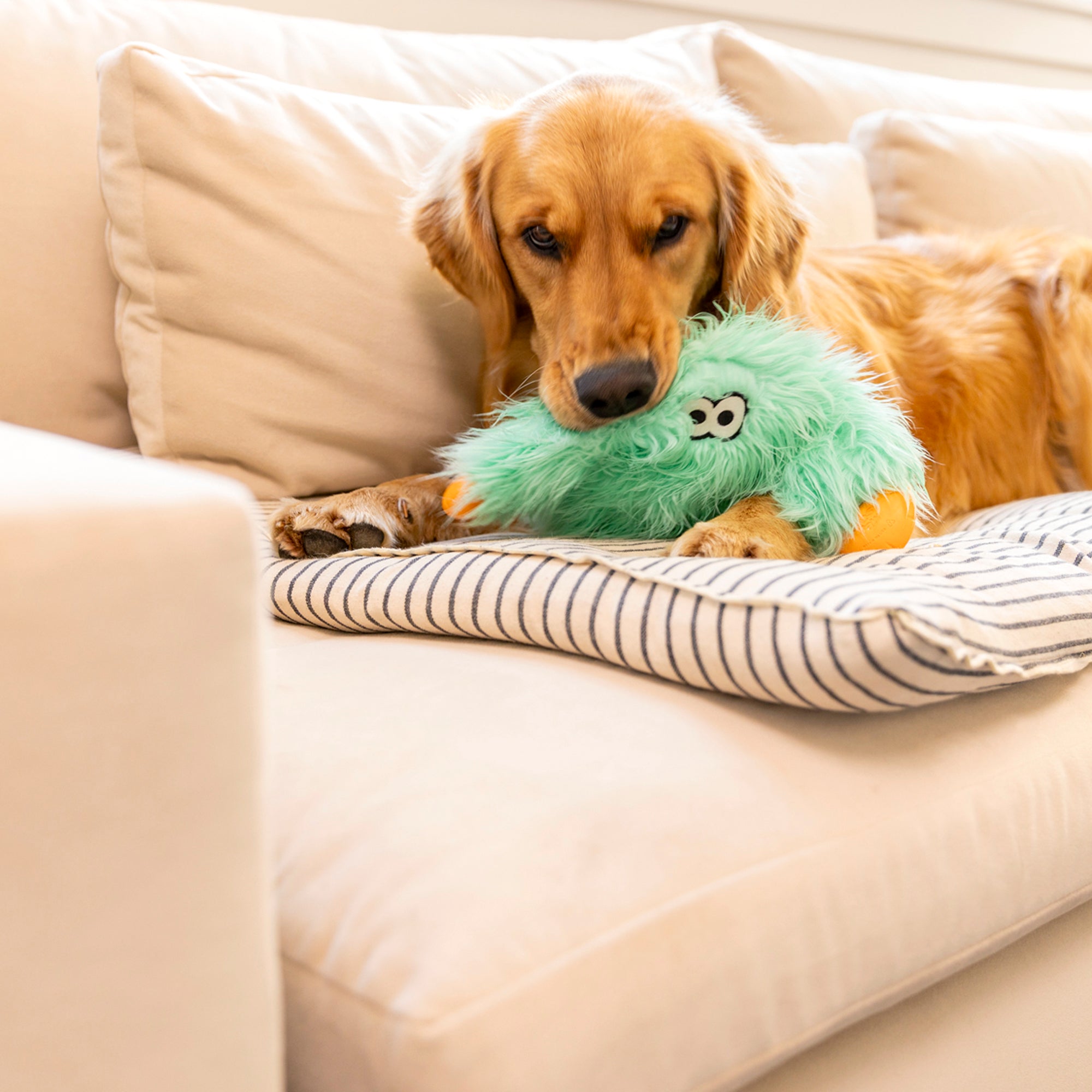 Helga Dog Toy