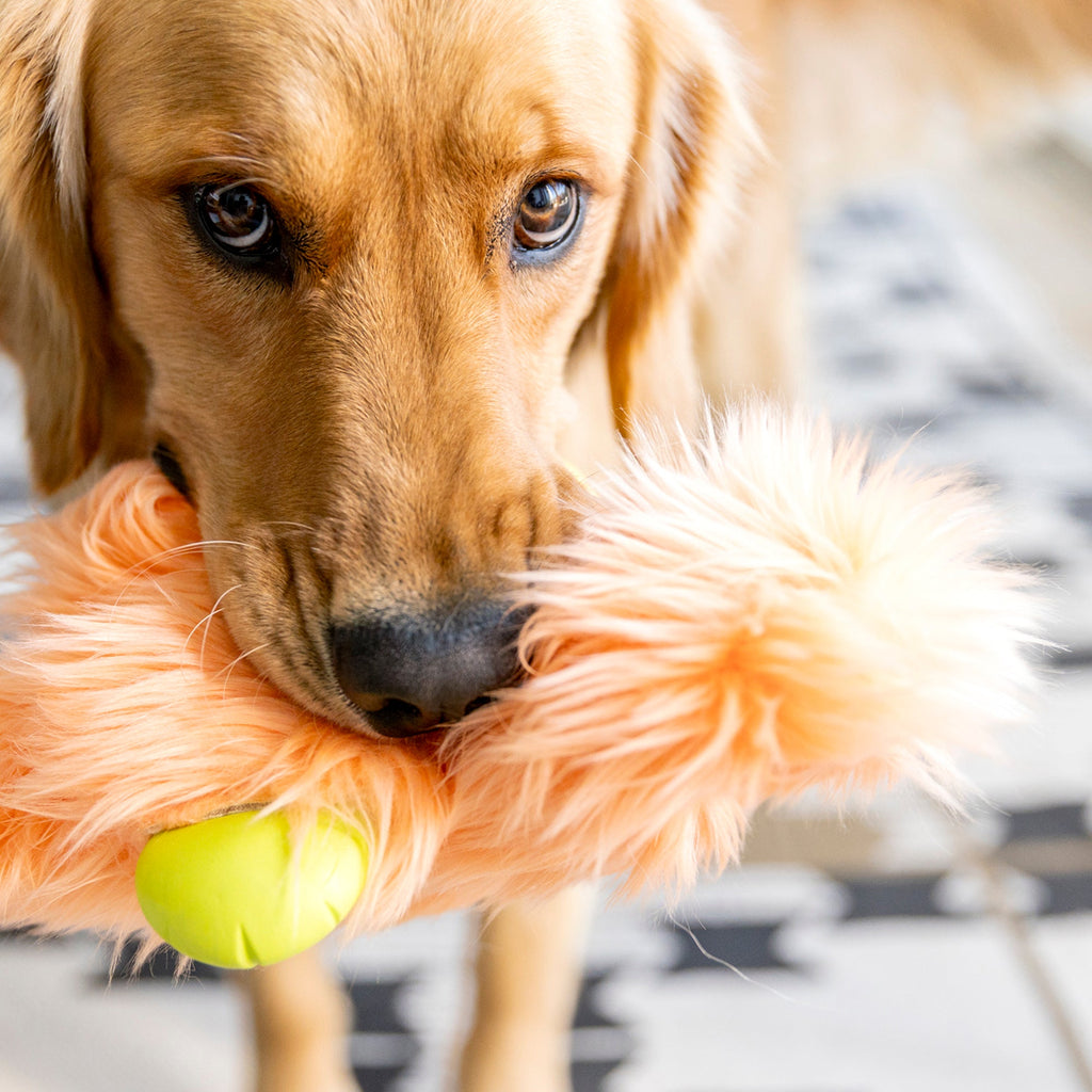 Olaf Dog Toy
