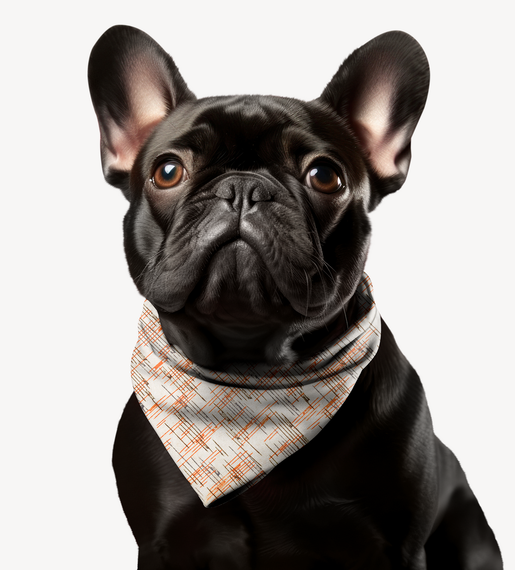 Sebastian and Clementine Vintage Collection Lines Bandana Collar for Dogs and Cats