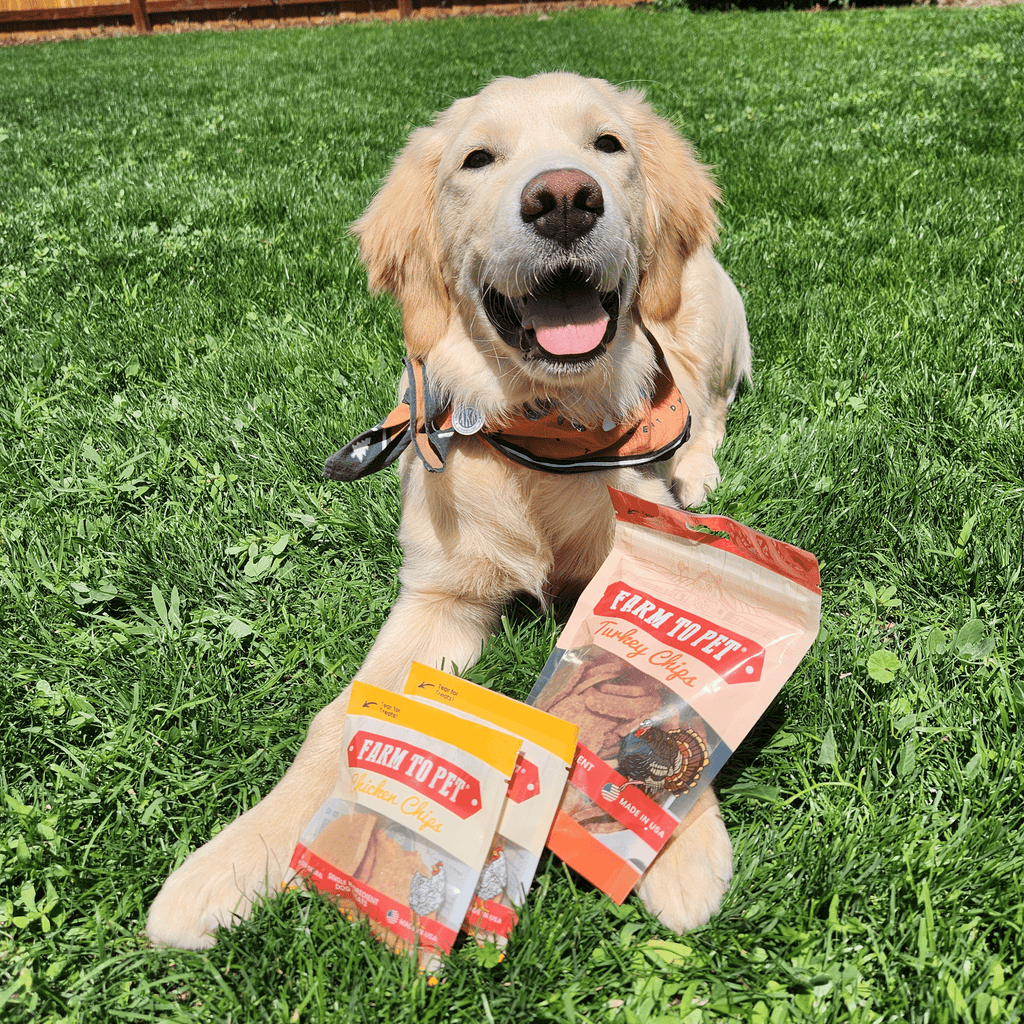 Farm to Pet Dog Treat Starter Pack Bundle