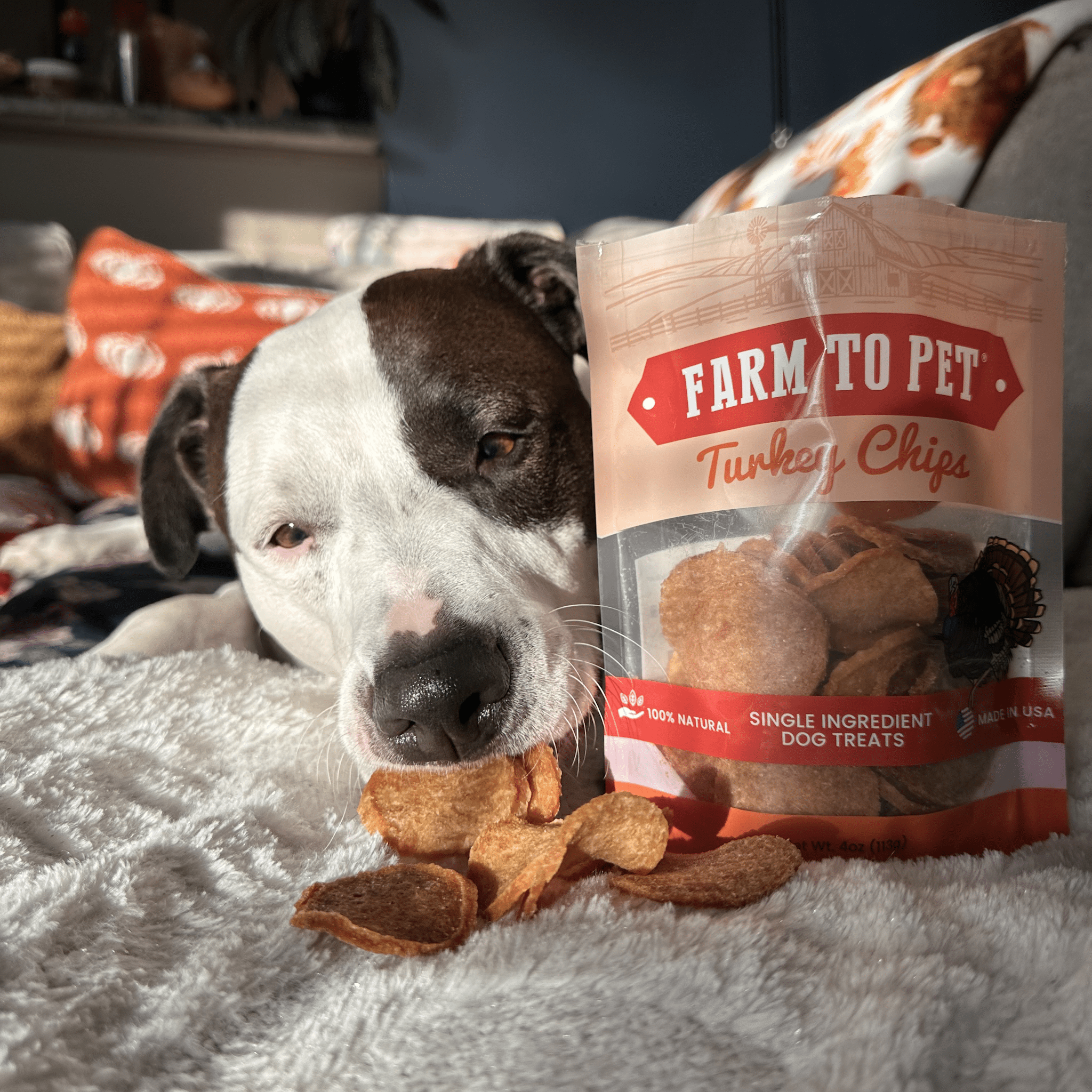 Farm to Pet Treat Chips - Turkey