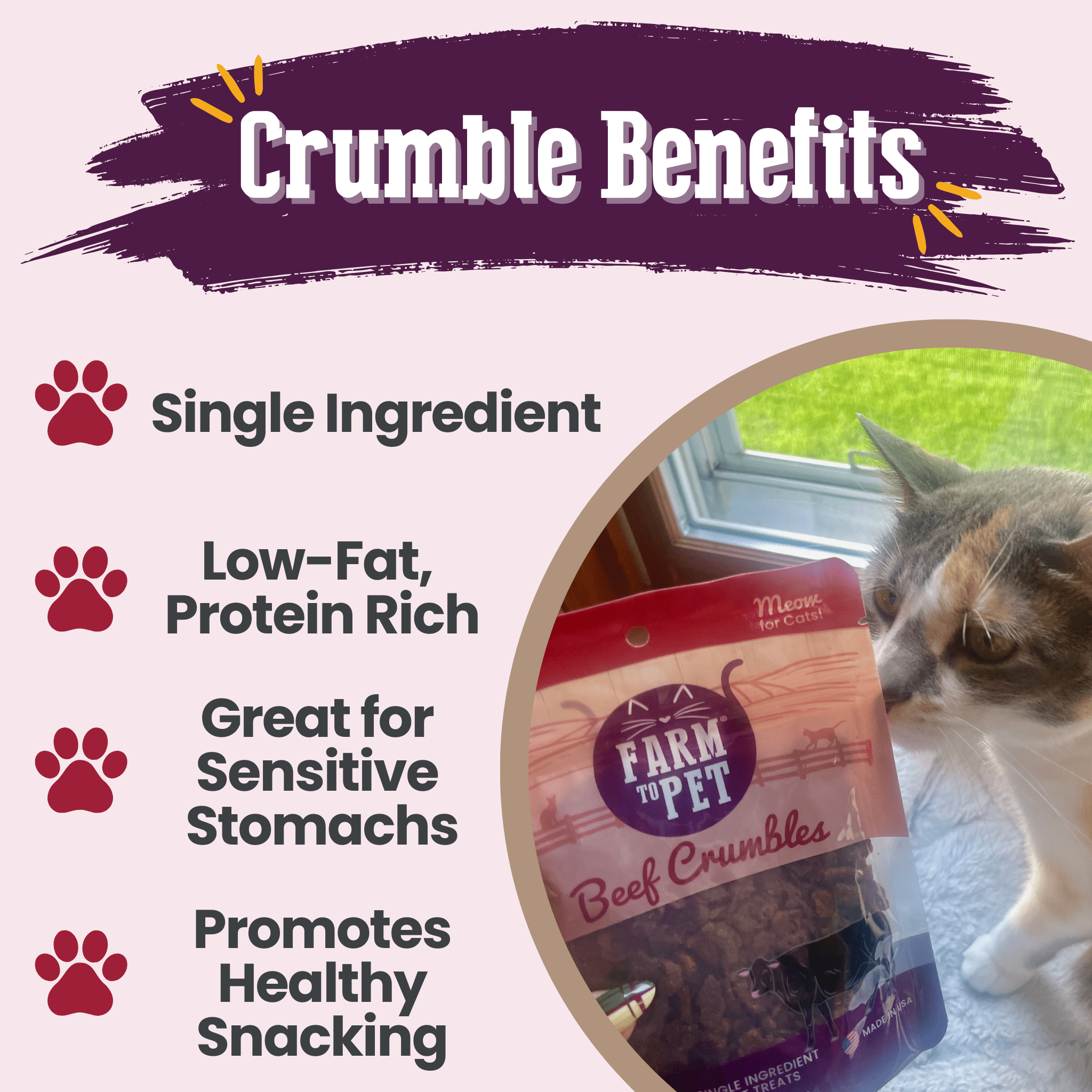Single-Ingredient Beef Cat Treats – Crumbles
