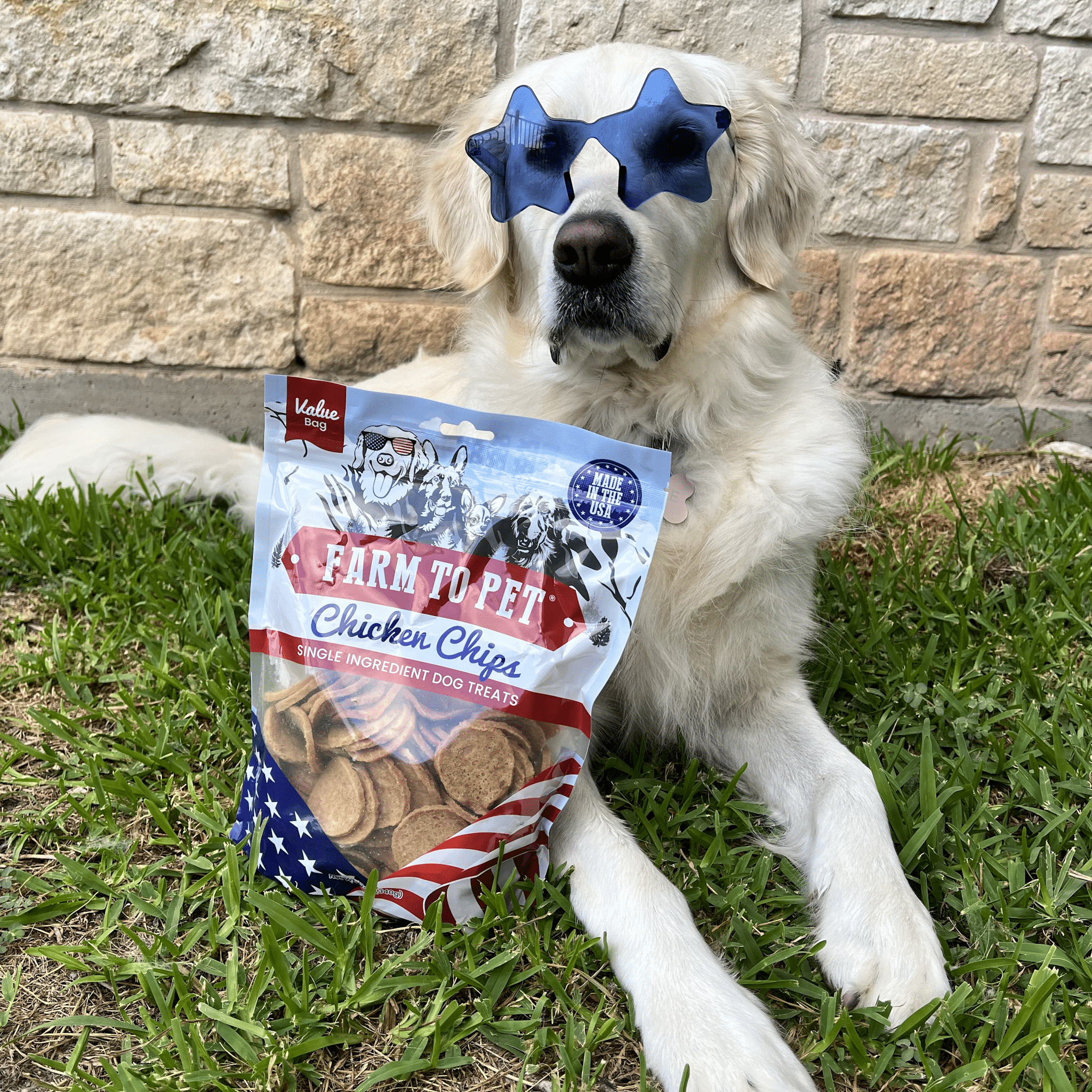 Farm to Pet Treat Chips - Chicken