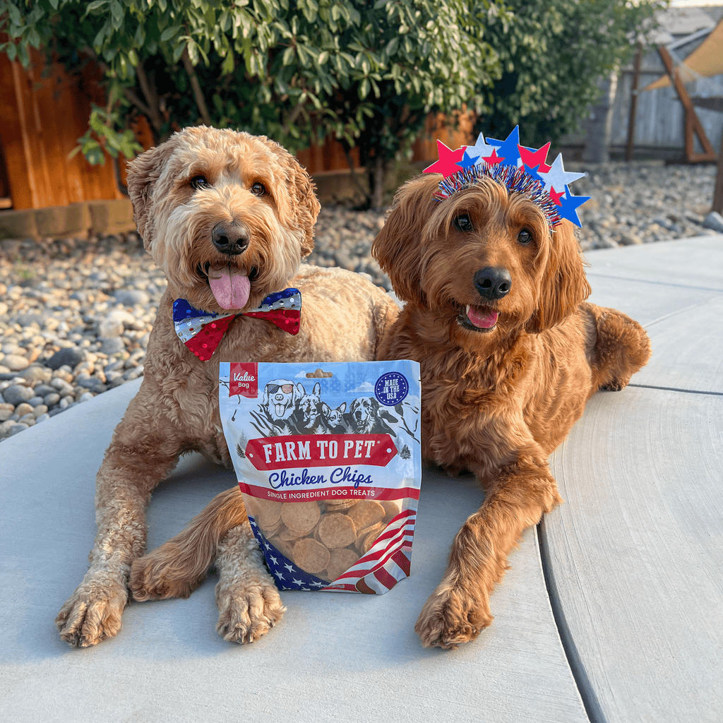 Farm to Pet Treat Chips - Chicken