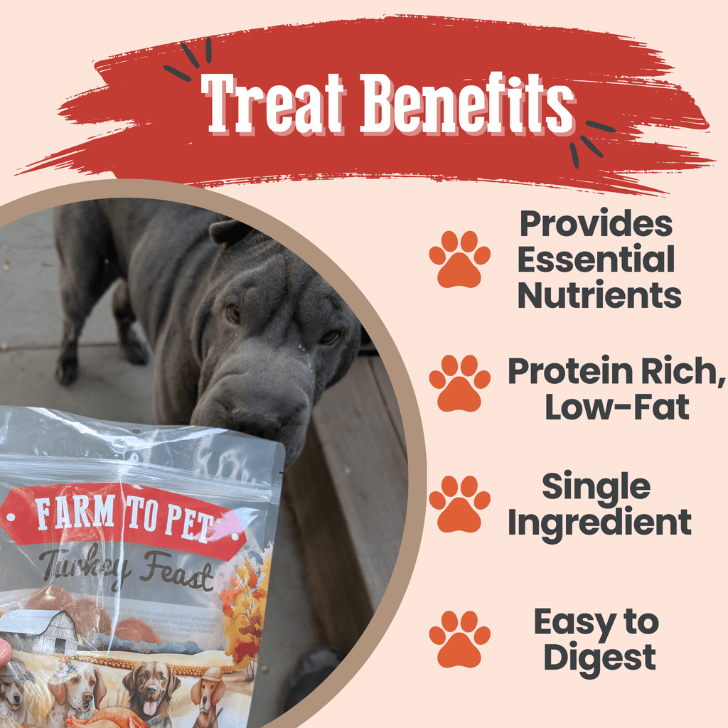 Farm to Pet Treat Chips - Turkey