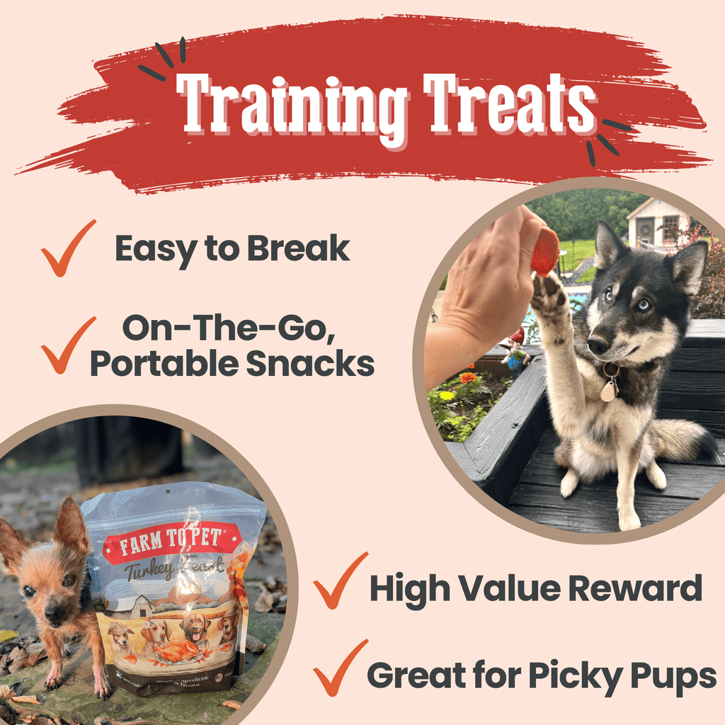 Farm to Pet Treat Chips - Turkey