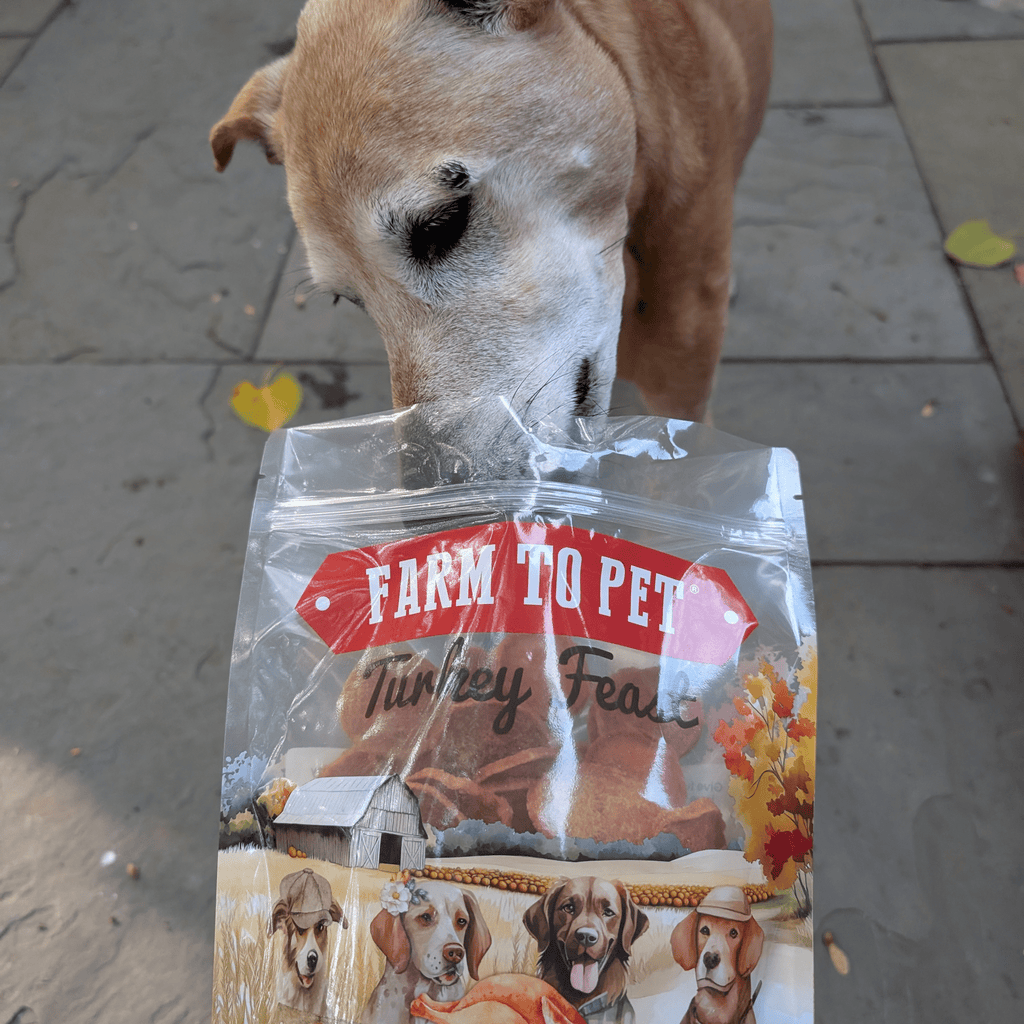 Farm to Pet Treat Chips - Turkey