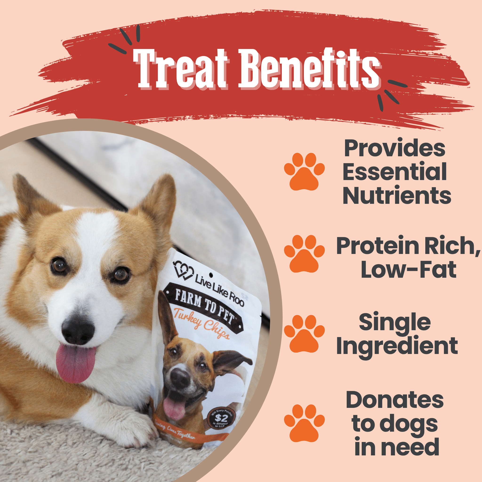 Turkey Treat Chips – Live Like Roo Edition