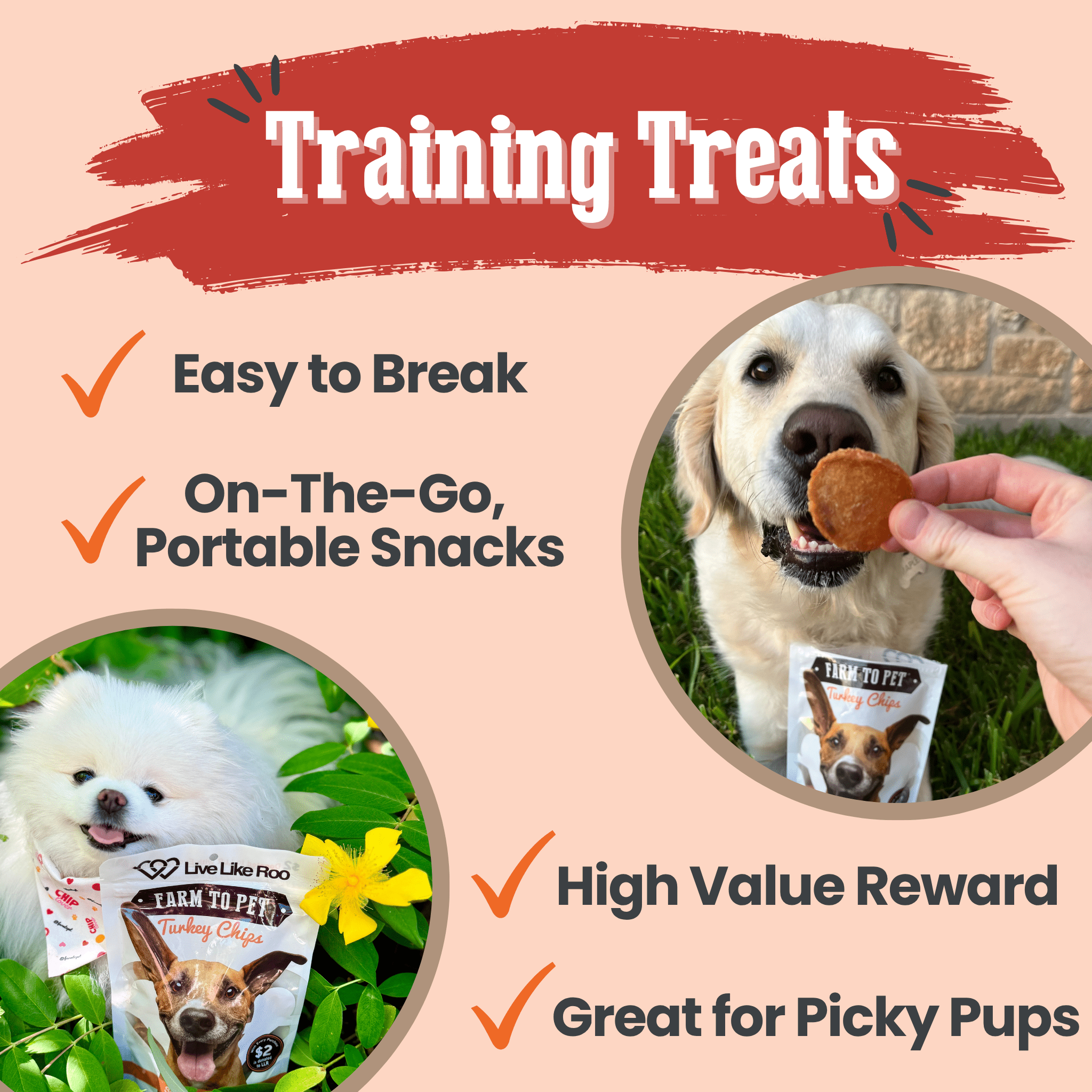 Farm to Pet Treat Chips - Turkey