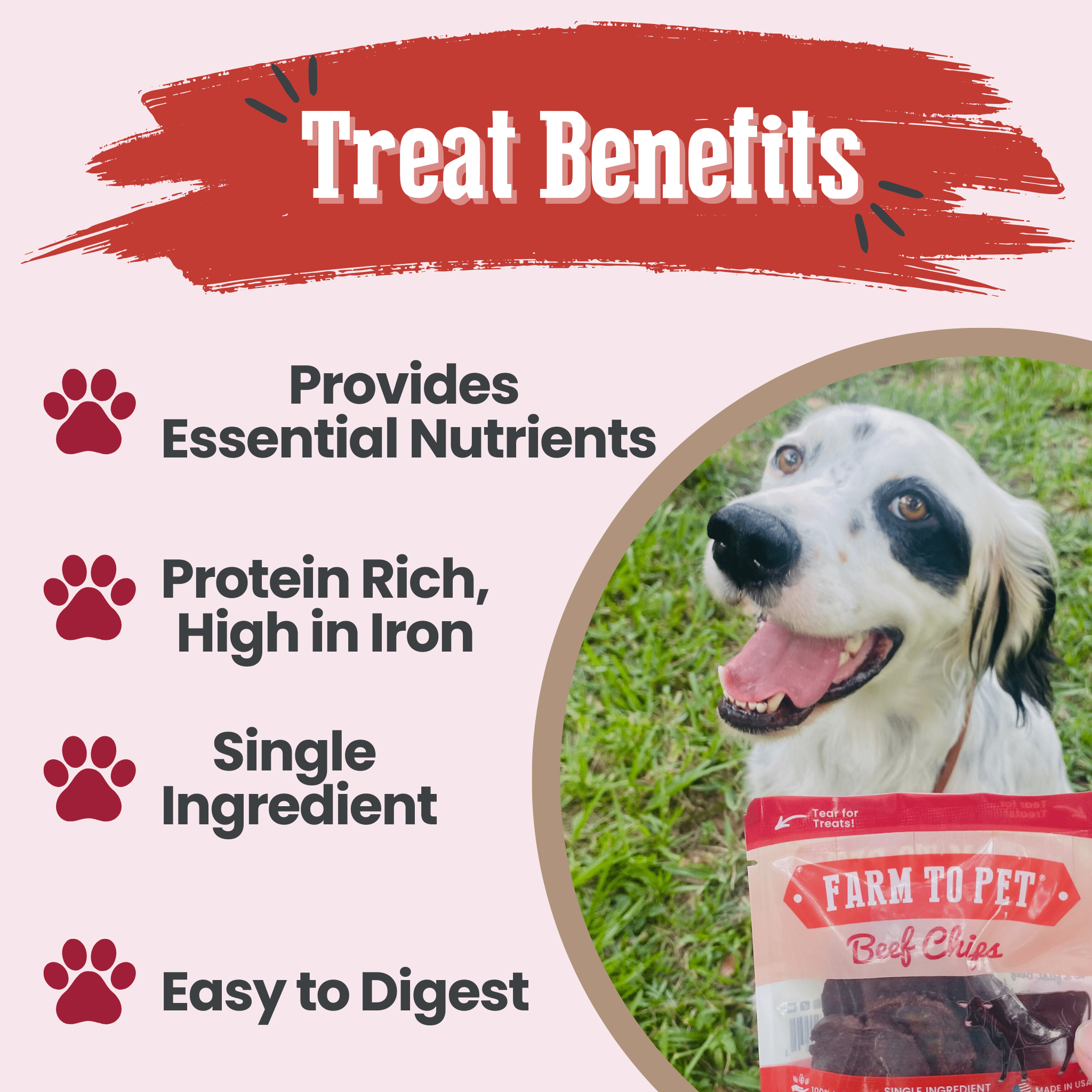 Farm to Pet Beef Treat Chips Snack Pack Bundles