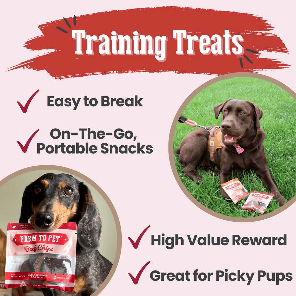 Farm to Pet Beef Treat Chips Snack Pack Bundles