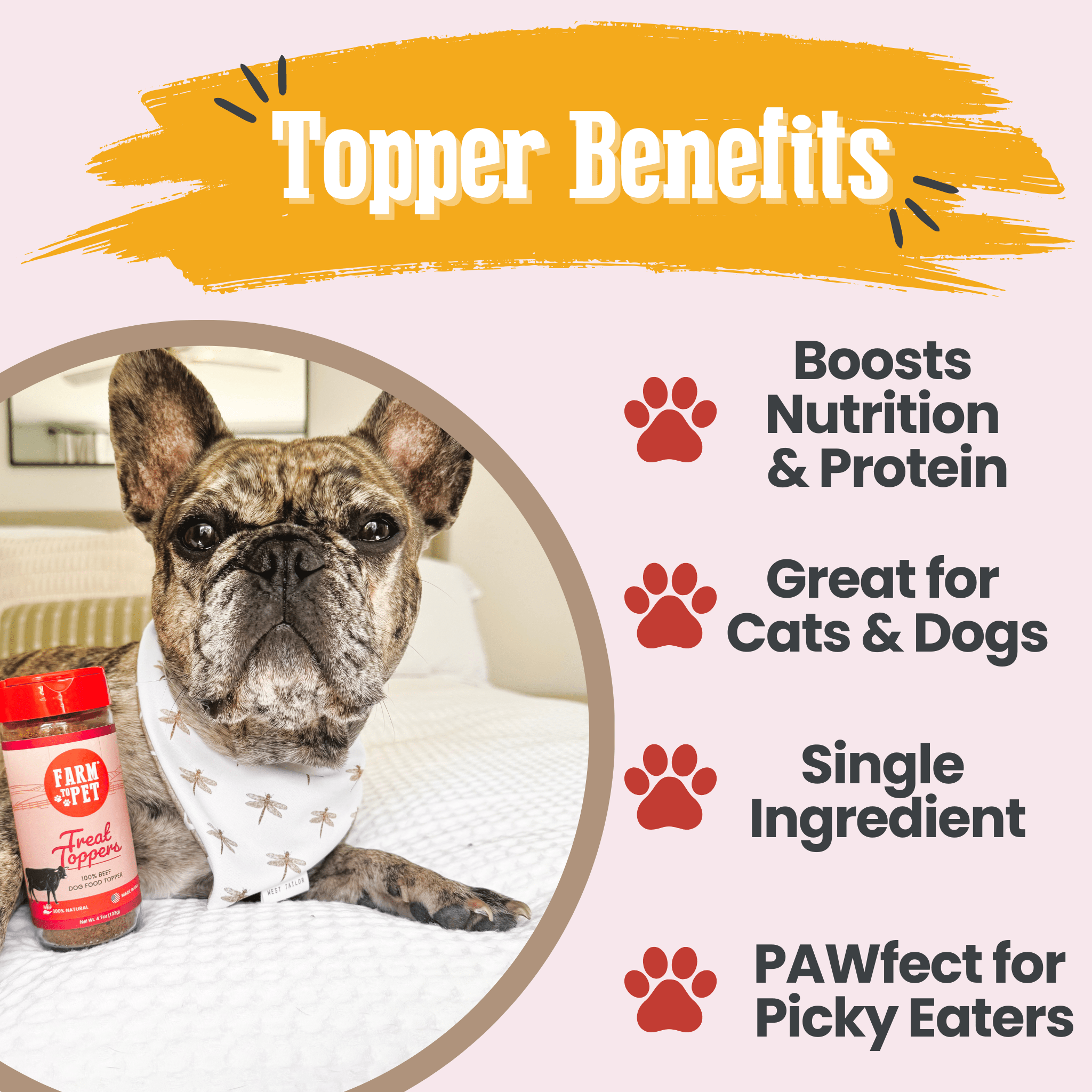 Farm to Pet Treat Dog Food Topper - Beef