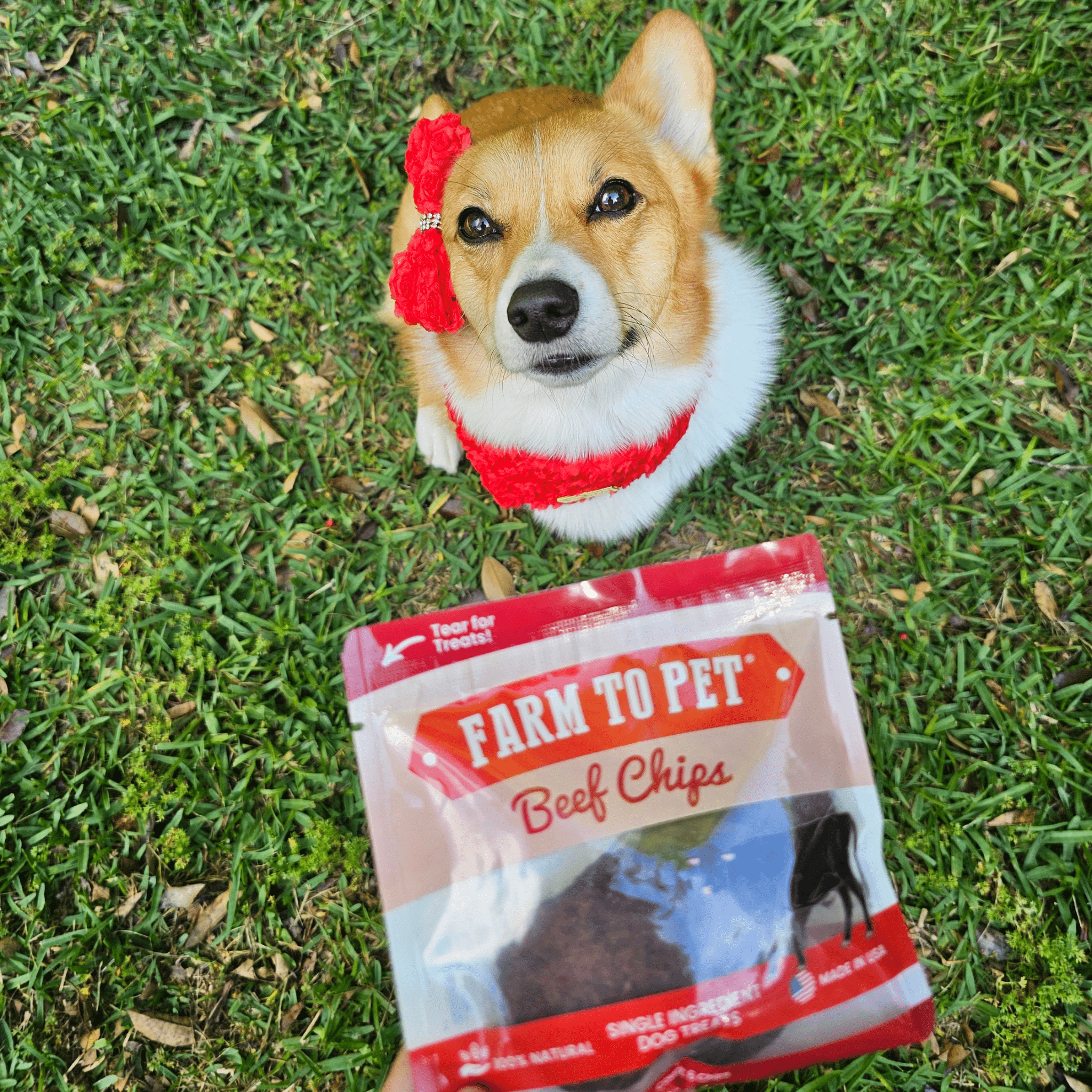 Farm to Pet Beef Treat Chips Snack Pack Bundles
