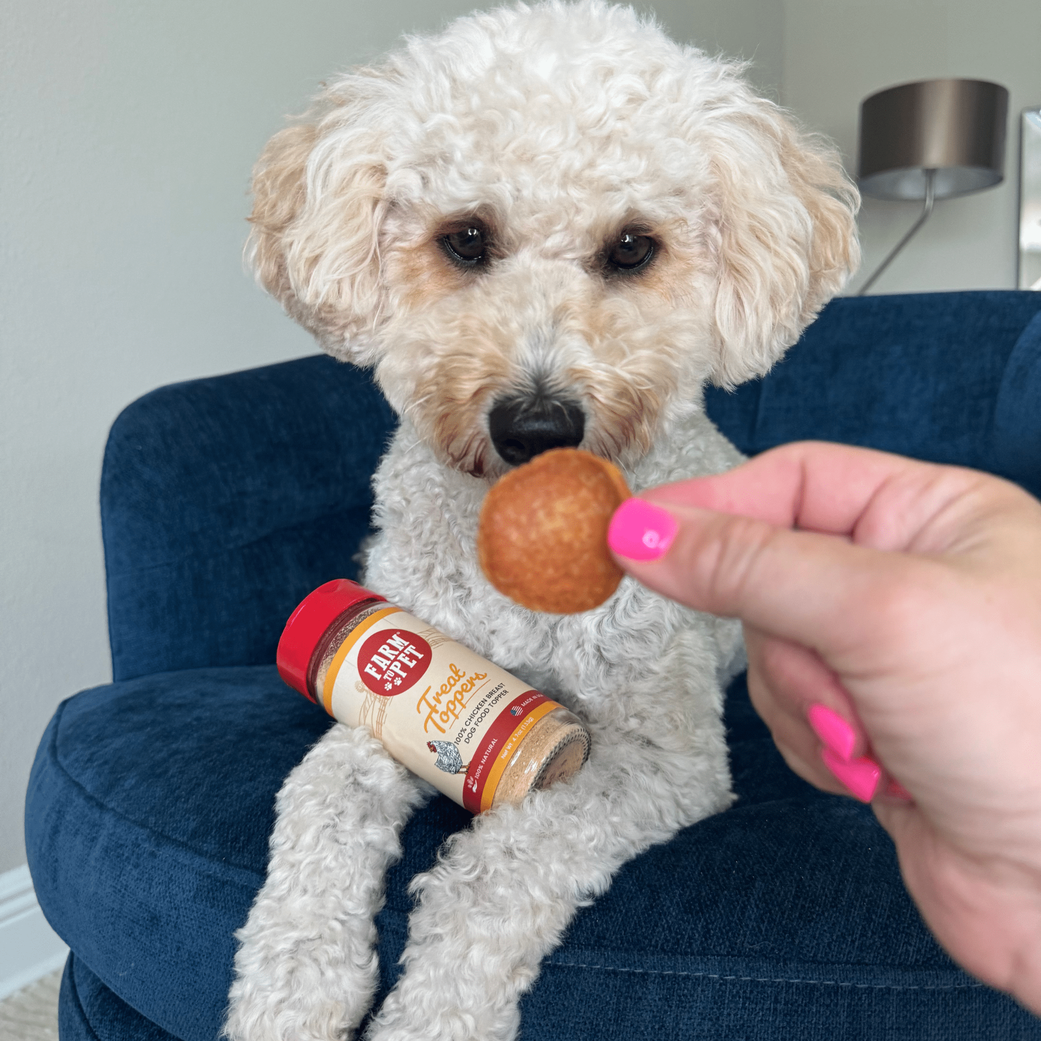 Farm to Pet Treat Dog Food Topper - Chicken