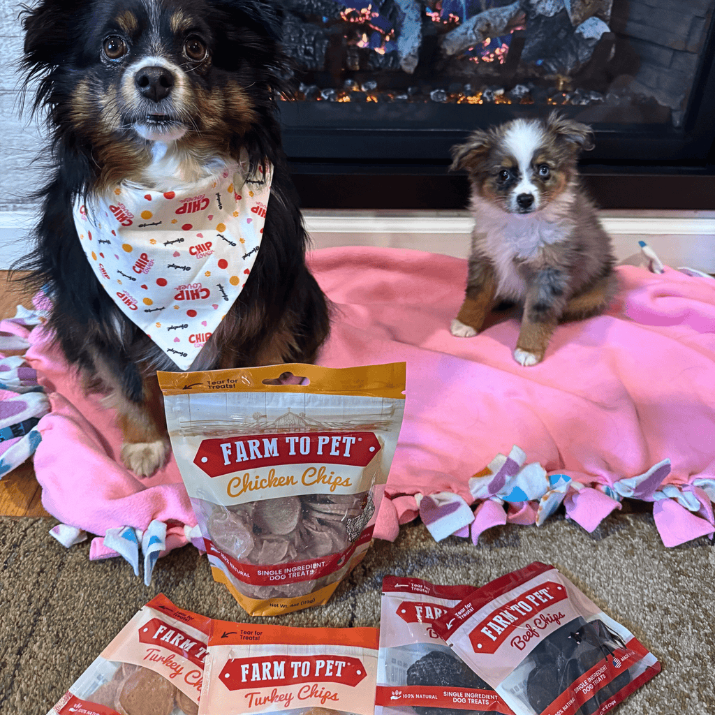 Farm to Pet Dog Treat Starter Pack Bundle