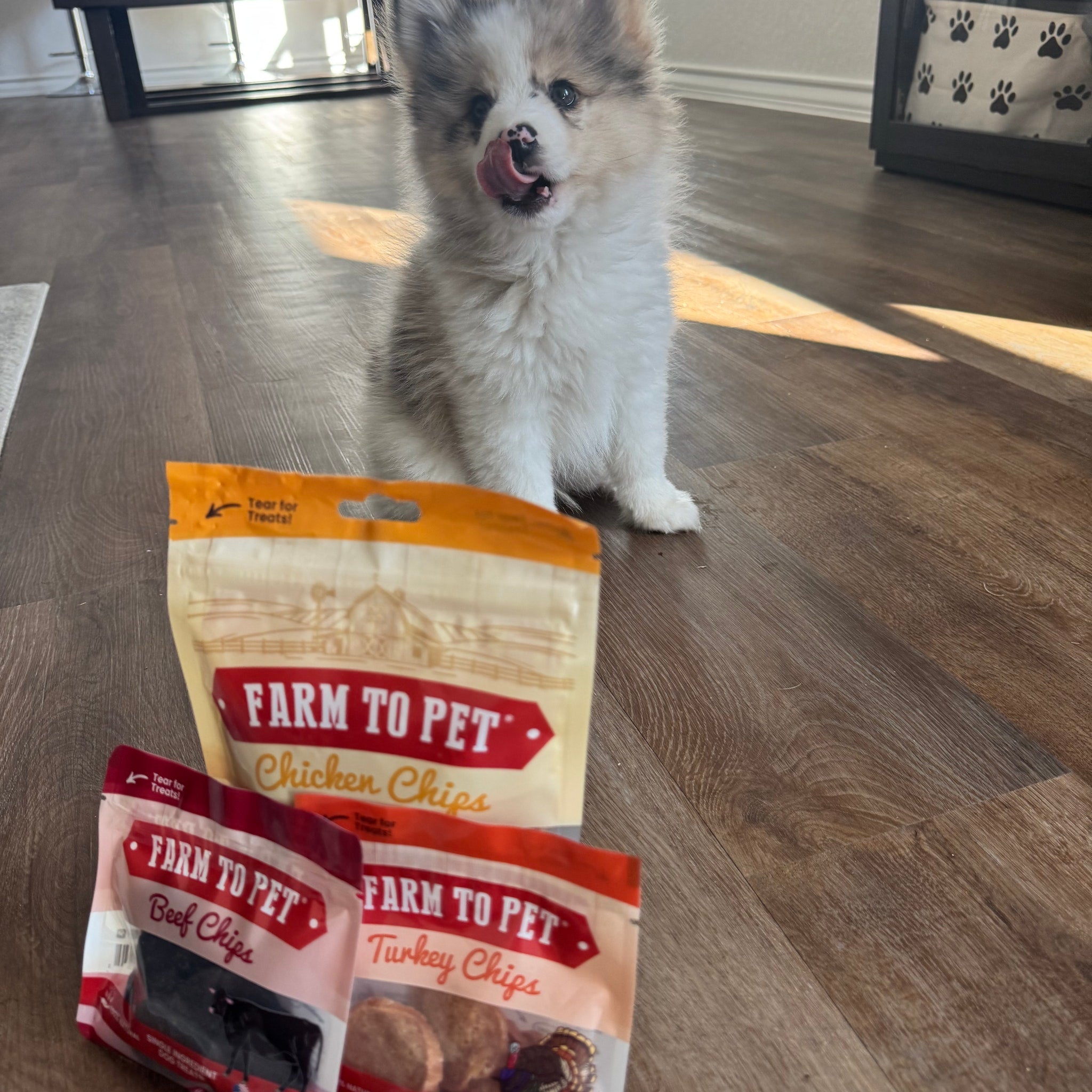 Farm to Pet Dog Treat Starter Pack Bundle