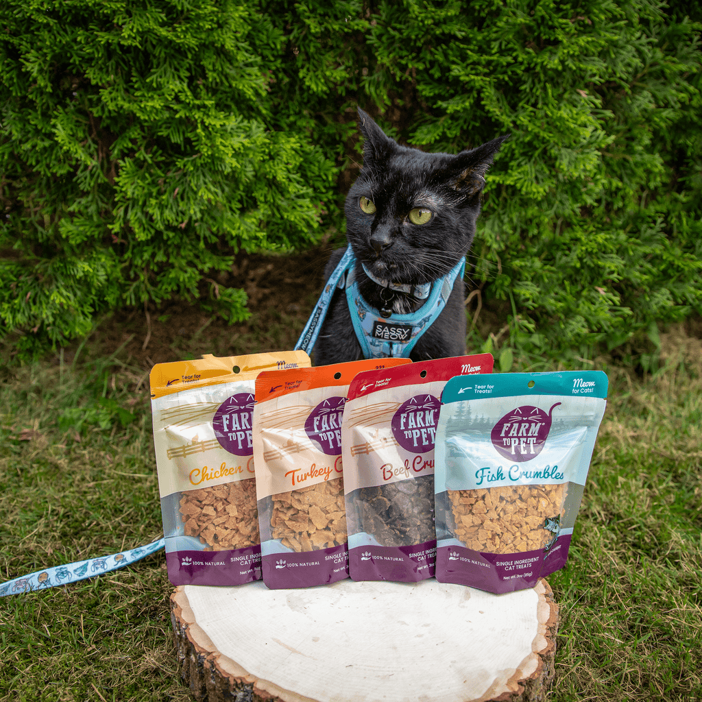 Single-Ingredient Beef Cat Treats – Crumbles