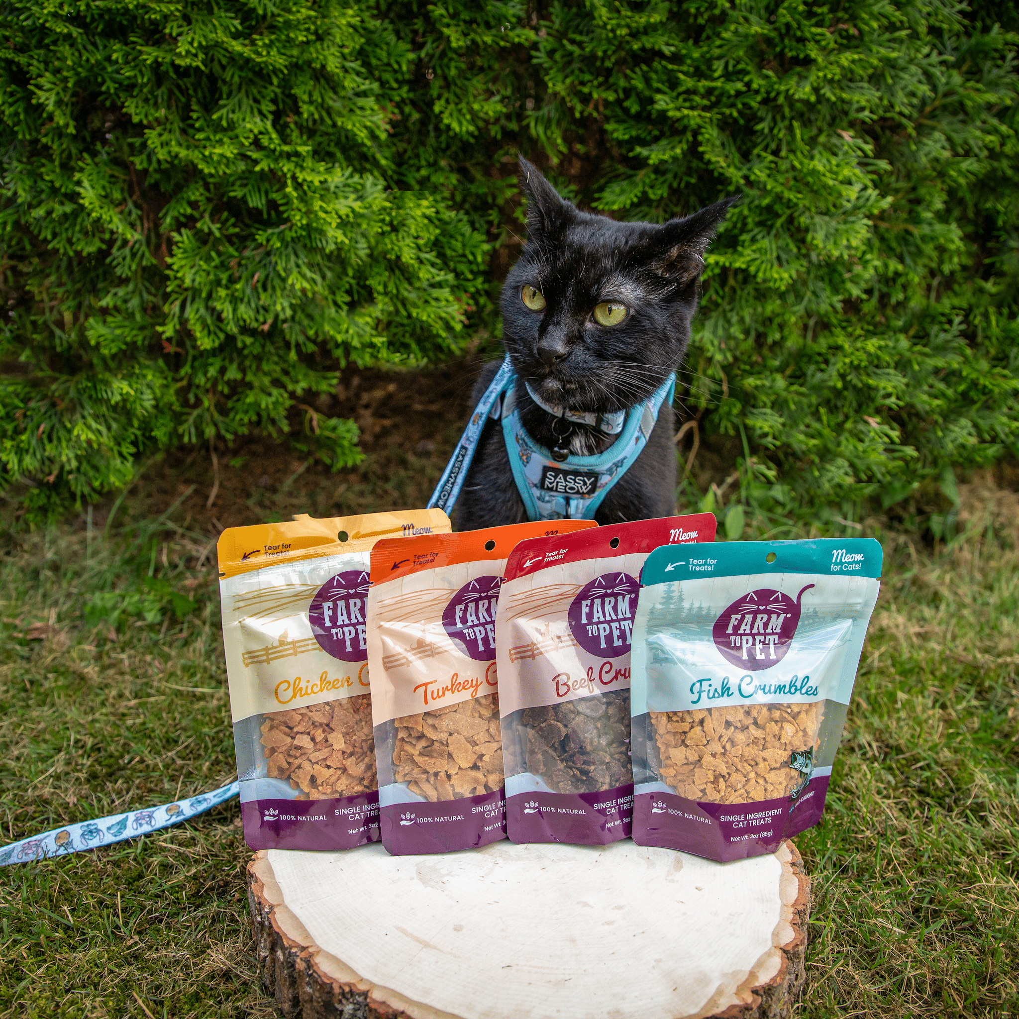 Single-Ingredient Beef Cat Treats – Crumbles