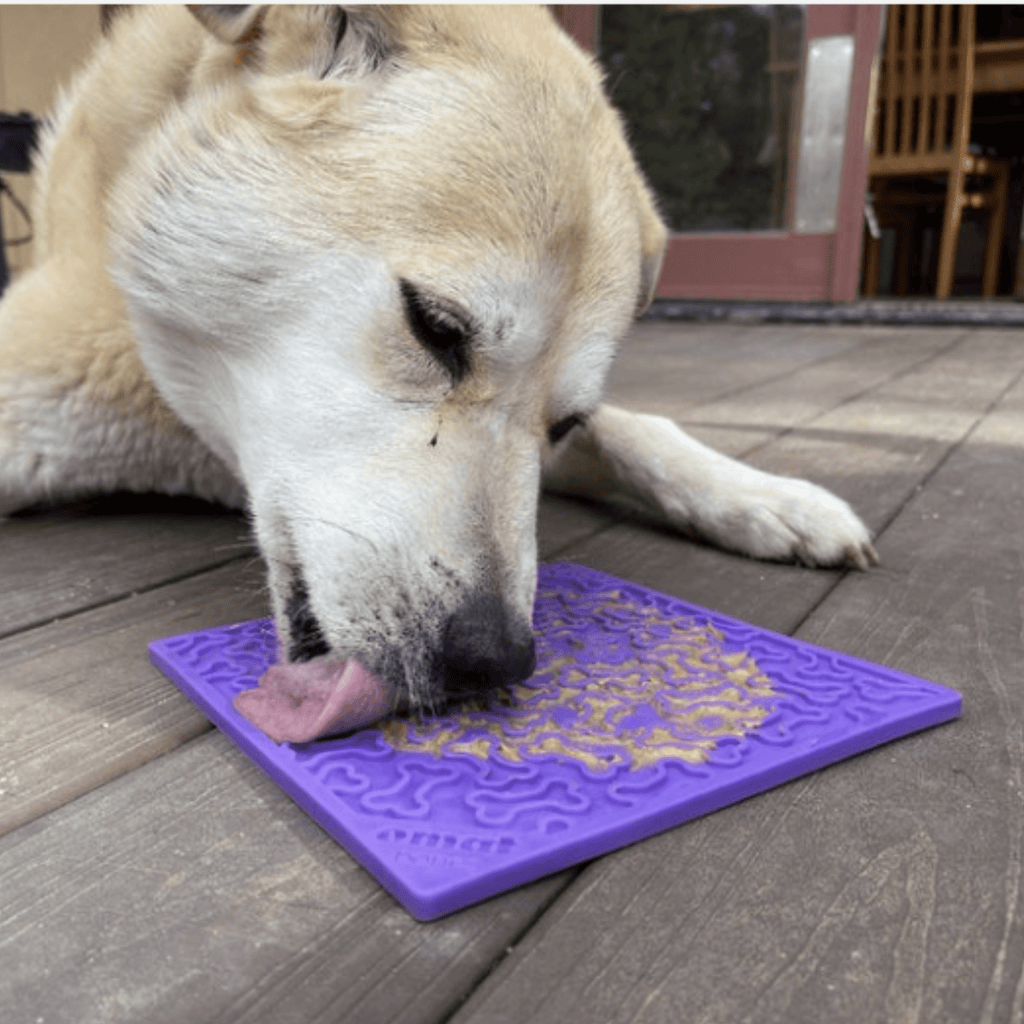 Dog & Cat Lick Mat – Multiple Colors