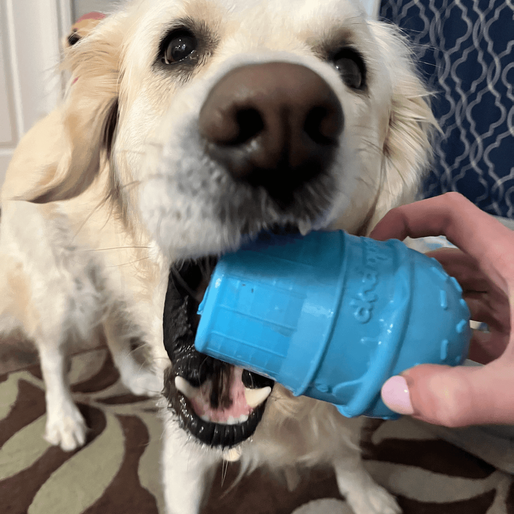 Farm to Pet Dog Treat Dispensers - Multiple Colors