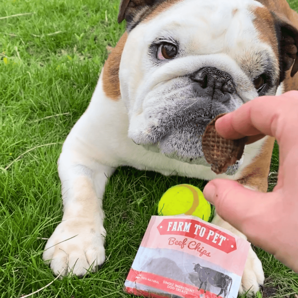Farm to Pet Beef Treat Chips Snack Pack Bundles