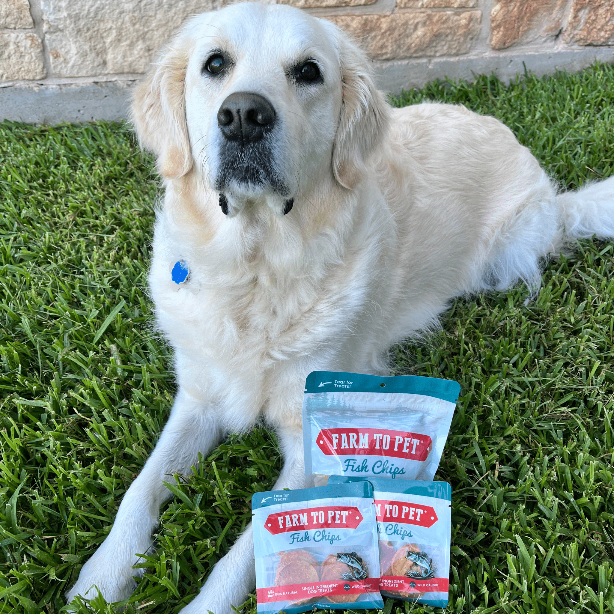 Farm to Pet Fish Treat Chips Snack Pack Bundles