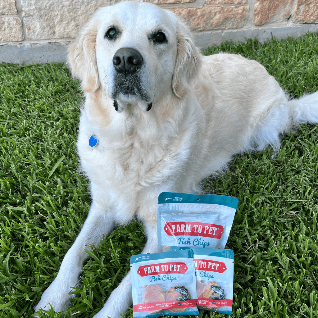 Fish Treat Chip Snack Packs – Training & Travel