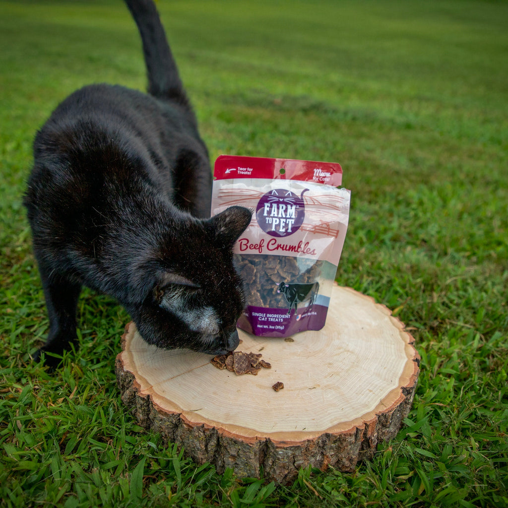 Single-Ingredient Beef Cat Treats – Crumbles