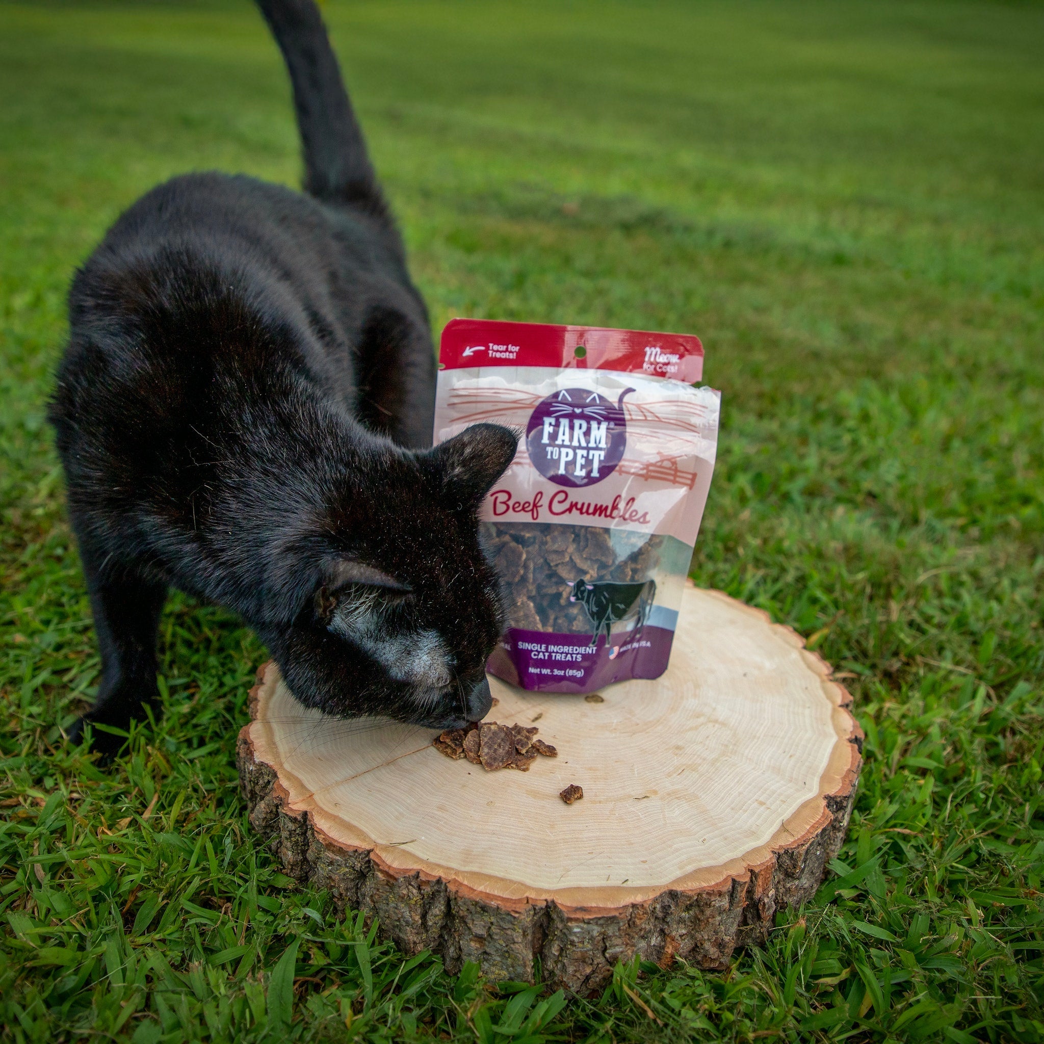 Single-Ingredient Beef Cat Treats – Crumbles
