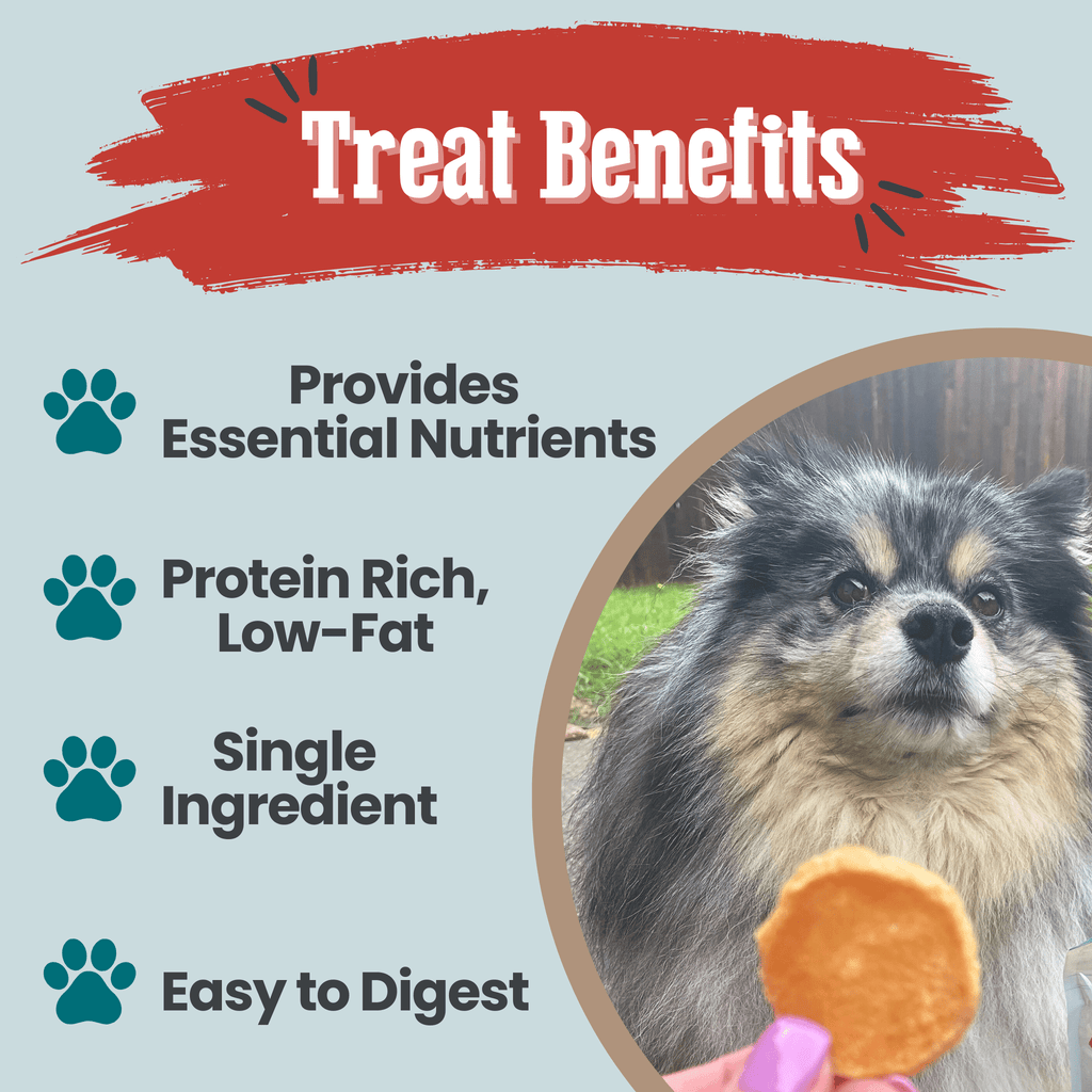 Fish Treat Chip Snack Packs – Training and Travel