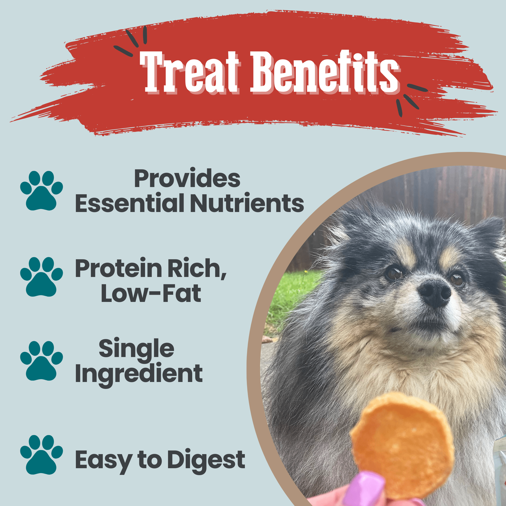 Fish Treat Chip Snack Packs – Training and Travel