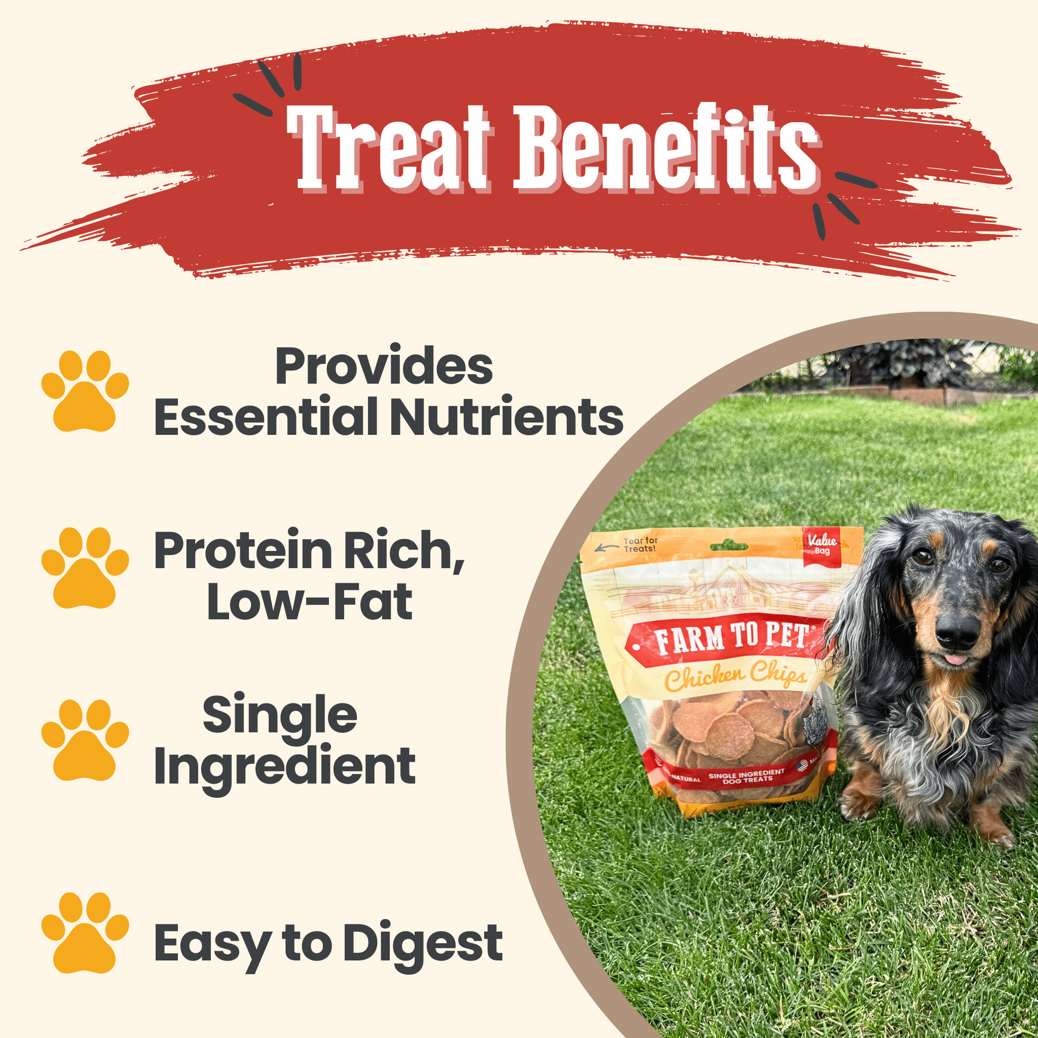Farm to Pet Treat Chips - Chicken