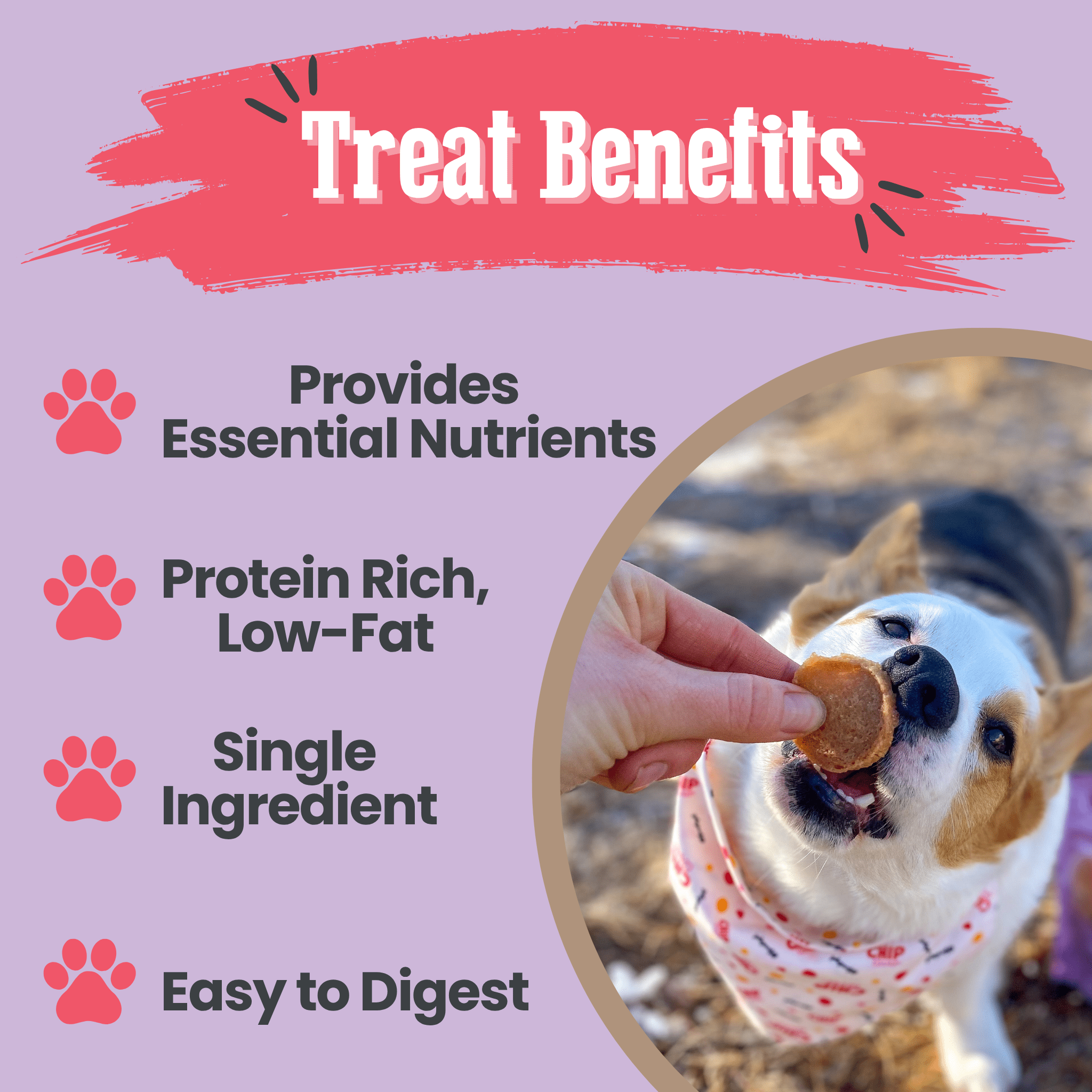 Farm to Pet Dog Treat Duo Chip - Chicken & Turkey